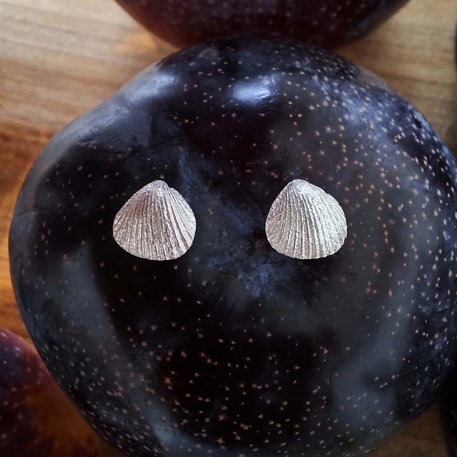 Muschelstecker Silber.jpg