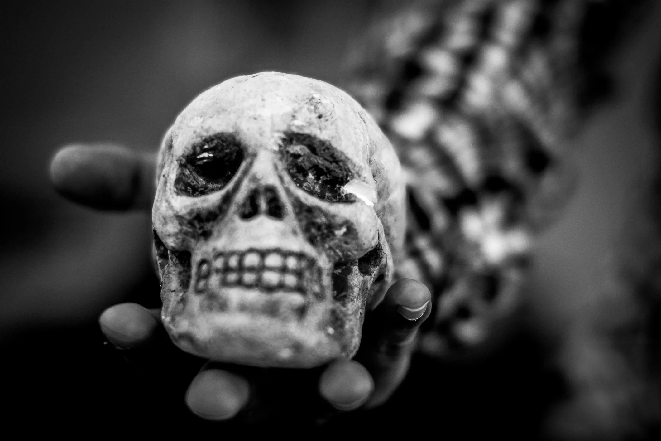 skull.jpg