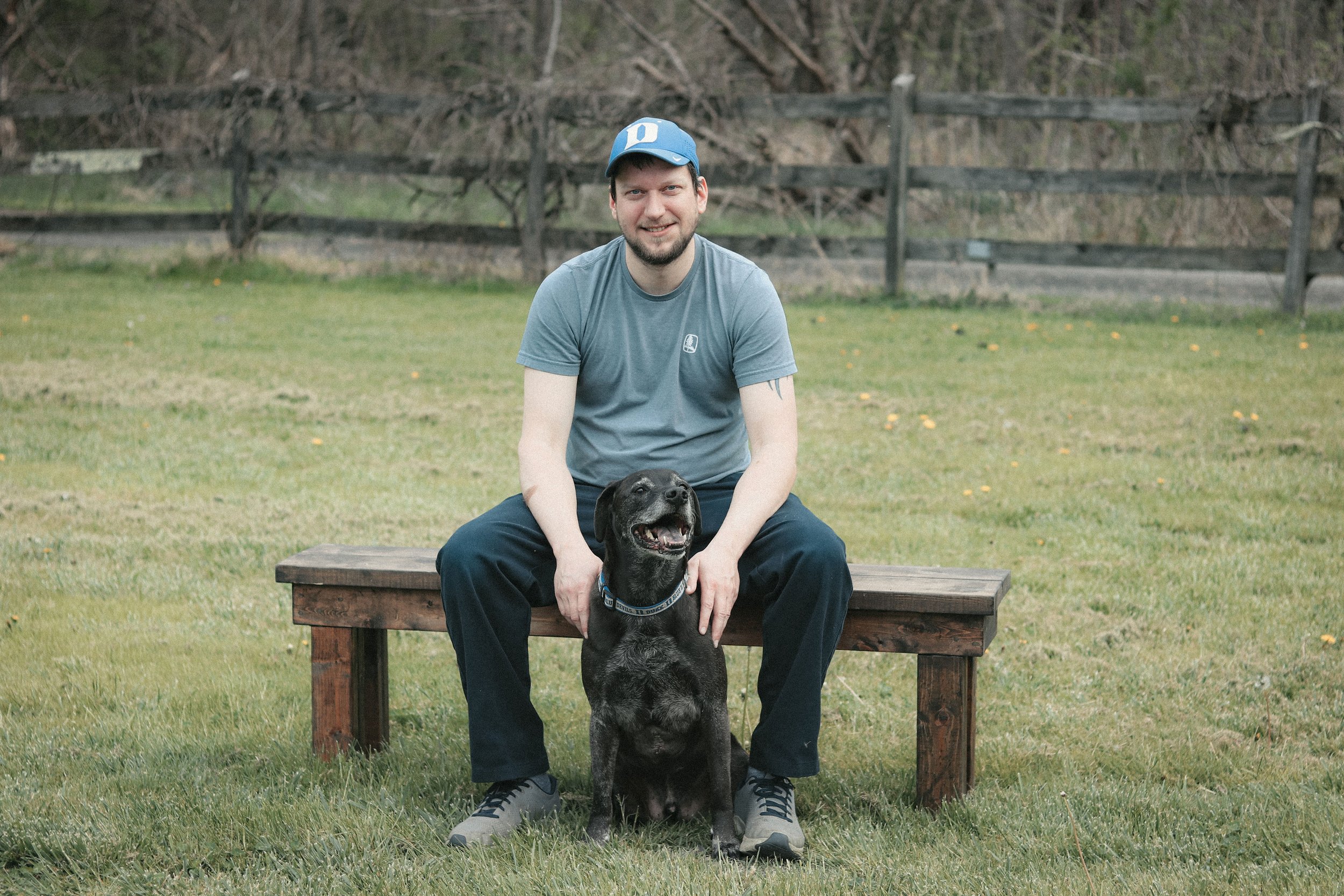 Pet, cat, dog grooming, pet boarding, doggie daycare in Greeneville / Greene County, Tennessee.