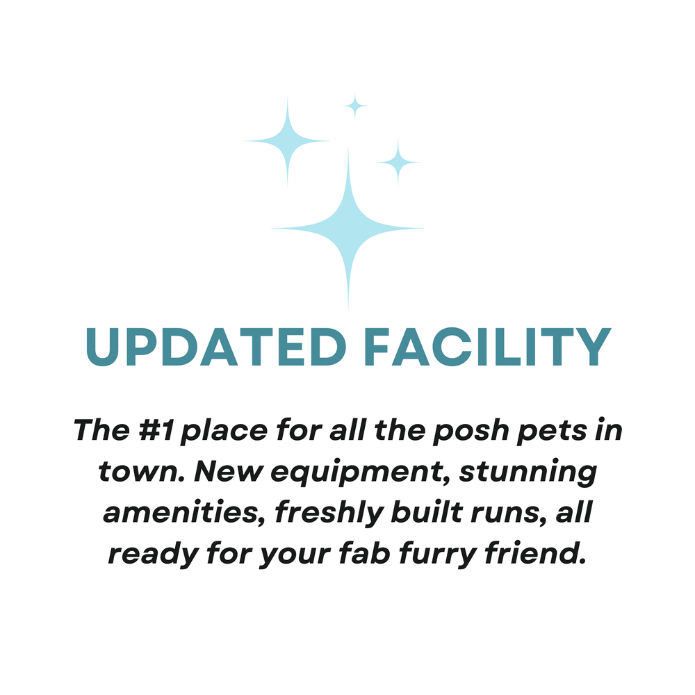 pawsitively-posh-pet-resprt-spa-greeneville-tennessee-pet-grooming