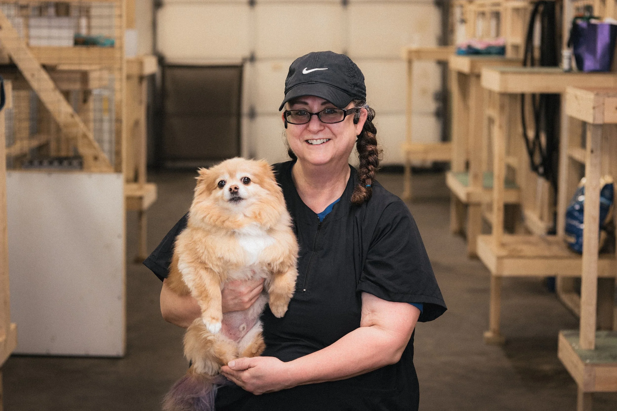 Pet, cat, dog grooming, pet boarding, doggie daycare in Greeneville / Greene County, Tennessee.