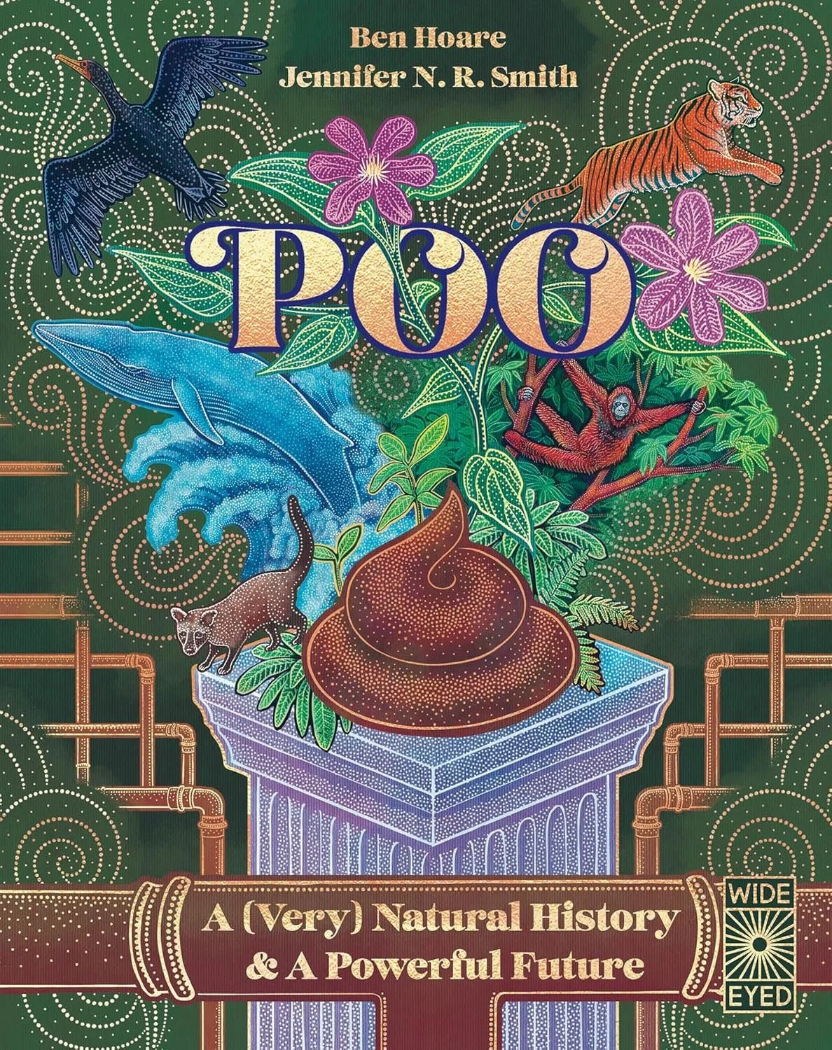 Poo: A (very) natural history and a powerful future