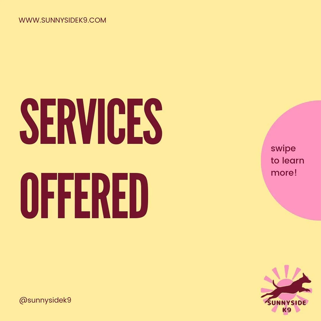 These are the services offered by Sunnyside K9! I do private lessons and virtual lessons! 

Contact today and let&rsquo;s get started! 
Kendall.sunnysidek9@gmail.com

#dogtraining#collegestation#bryantexas#bcsarea#bcsdogtraining#bryancollegestation#t