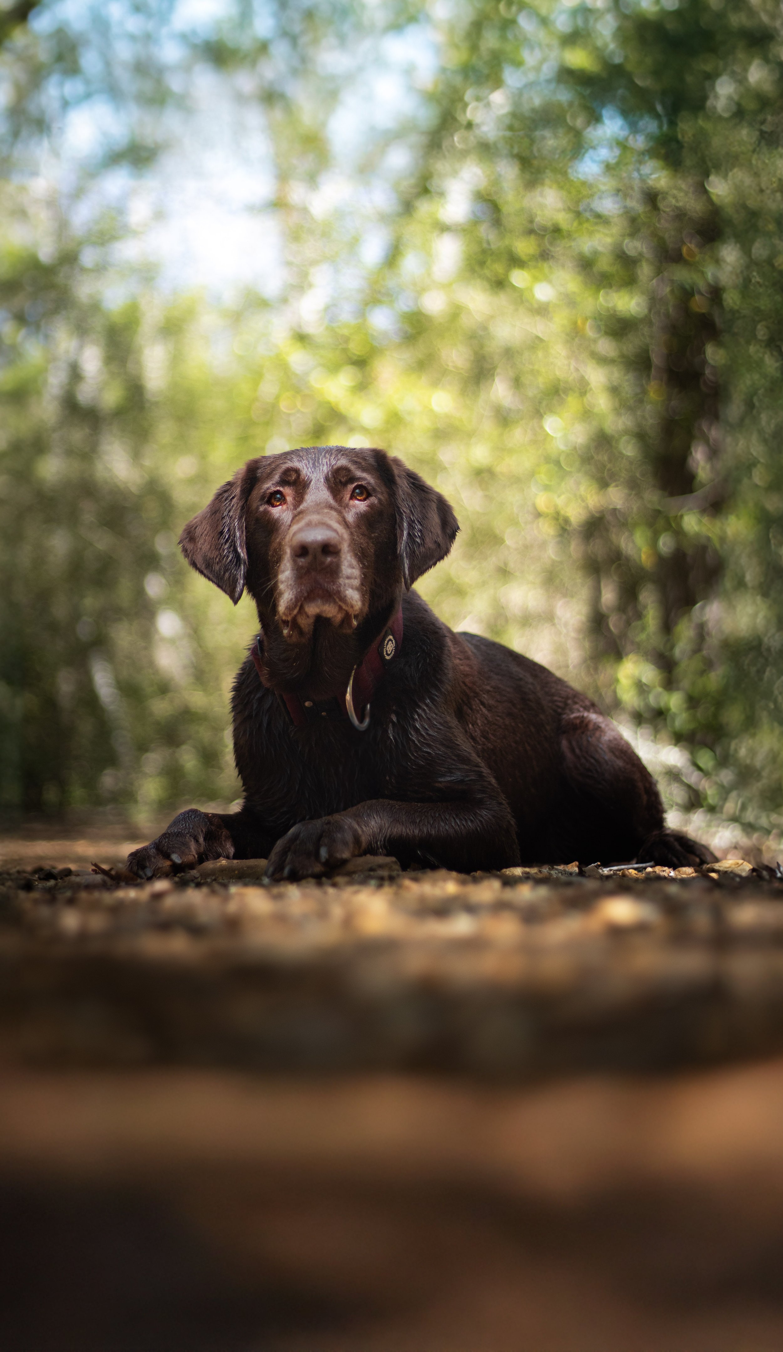 IMG_3279-Edit.jpg