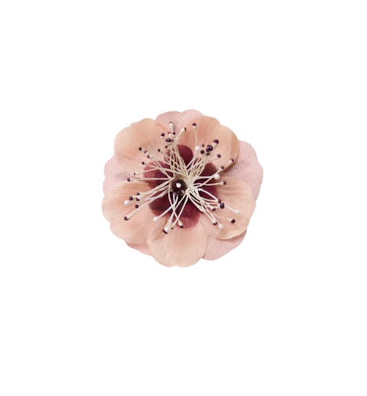 53f11491-2acf-4373-8a15-1d13a56966bd.png