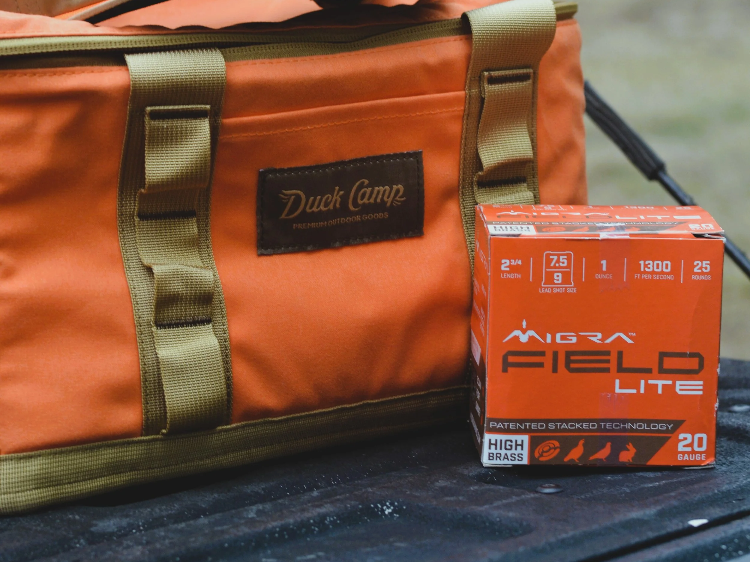 The Perfect Pairing of an Upland Load for Southern Upland Birds