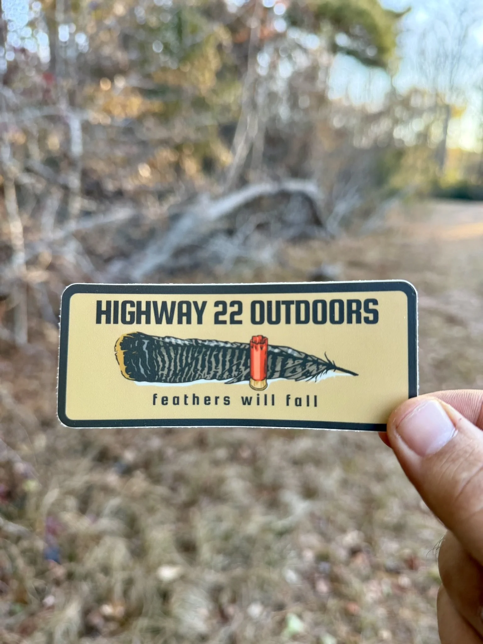 HWY 22 - Feathers Will Fall.JPEG