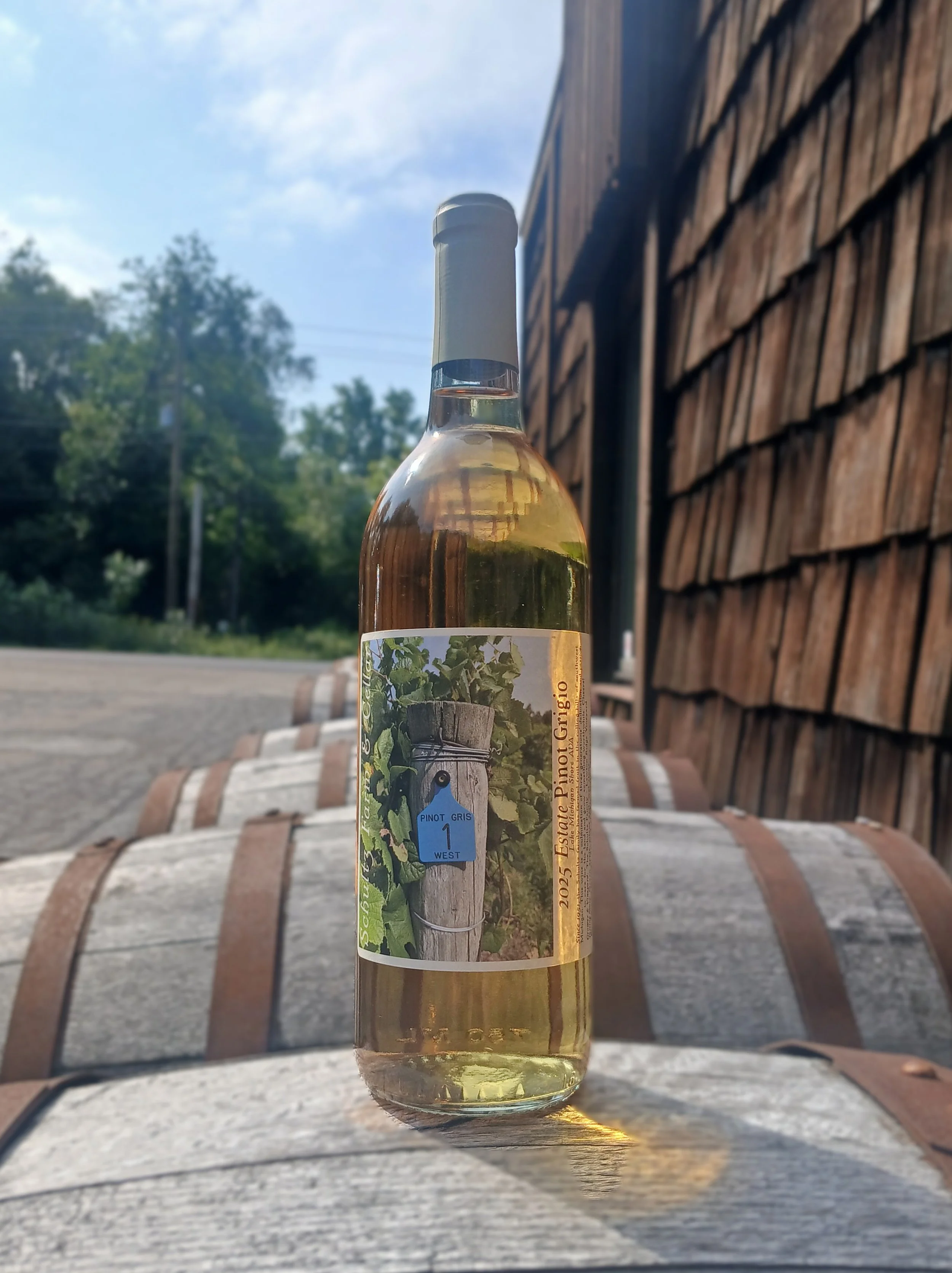 Pinot Grigio