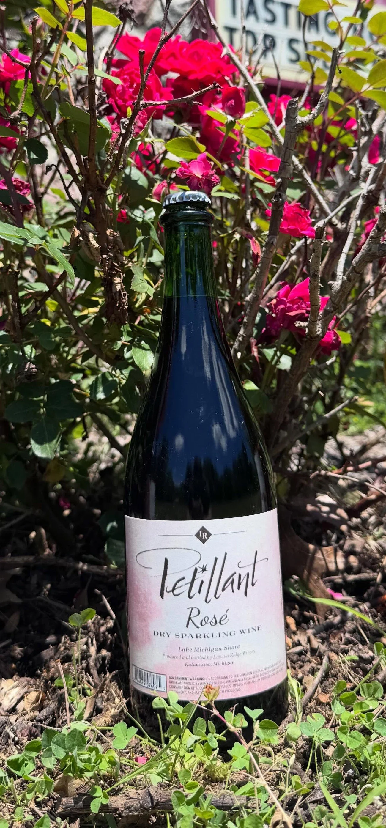Petillant Rosé