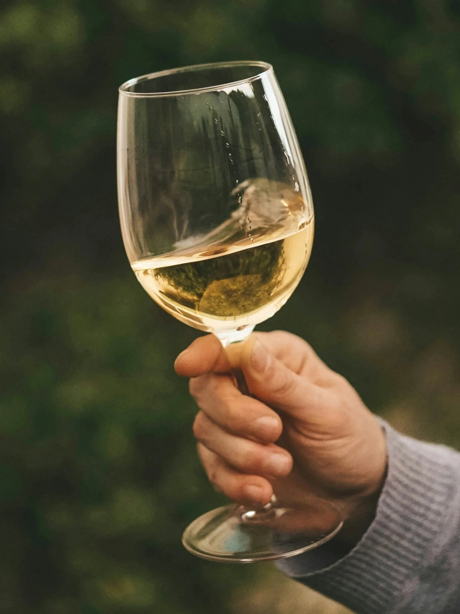 semi-sweet pinot grigio