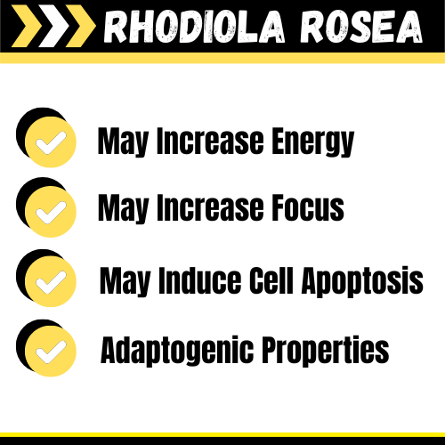 Dogon Go Pack(24).png