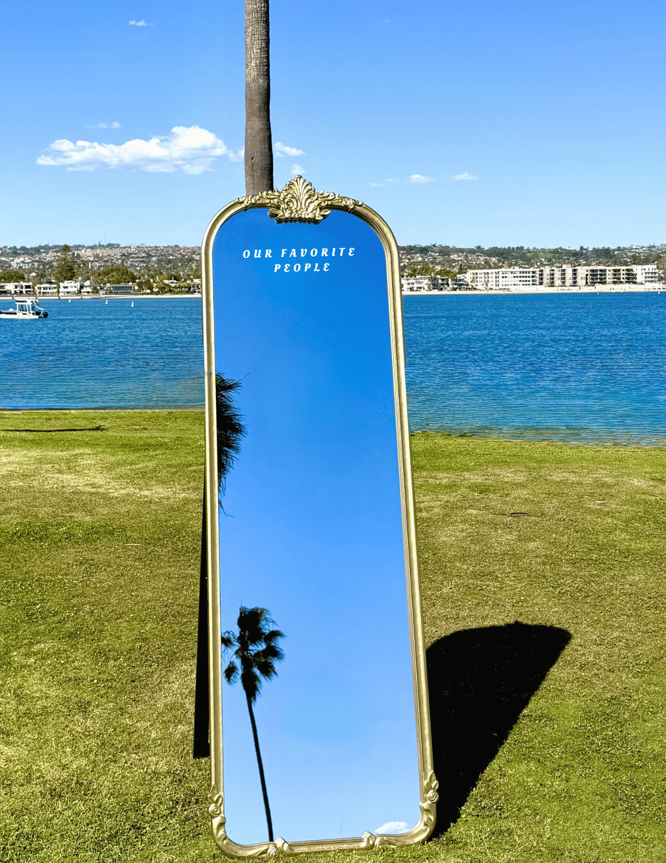 Elodie gold framed wedding seating chart mirror sign with ornate vintage frame, custom wedding signage display