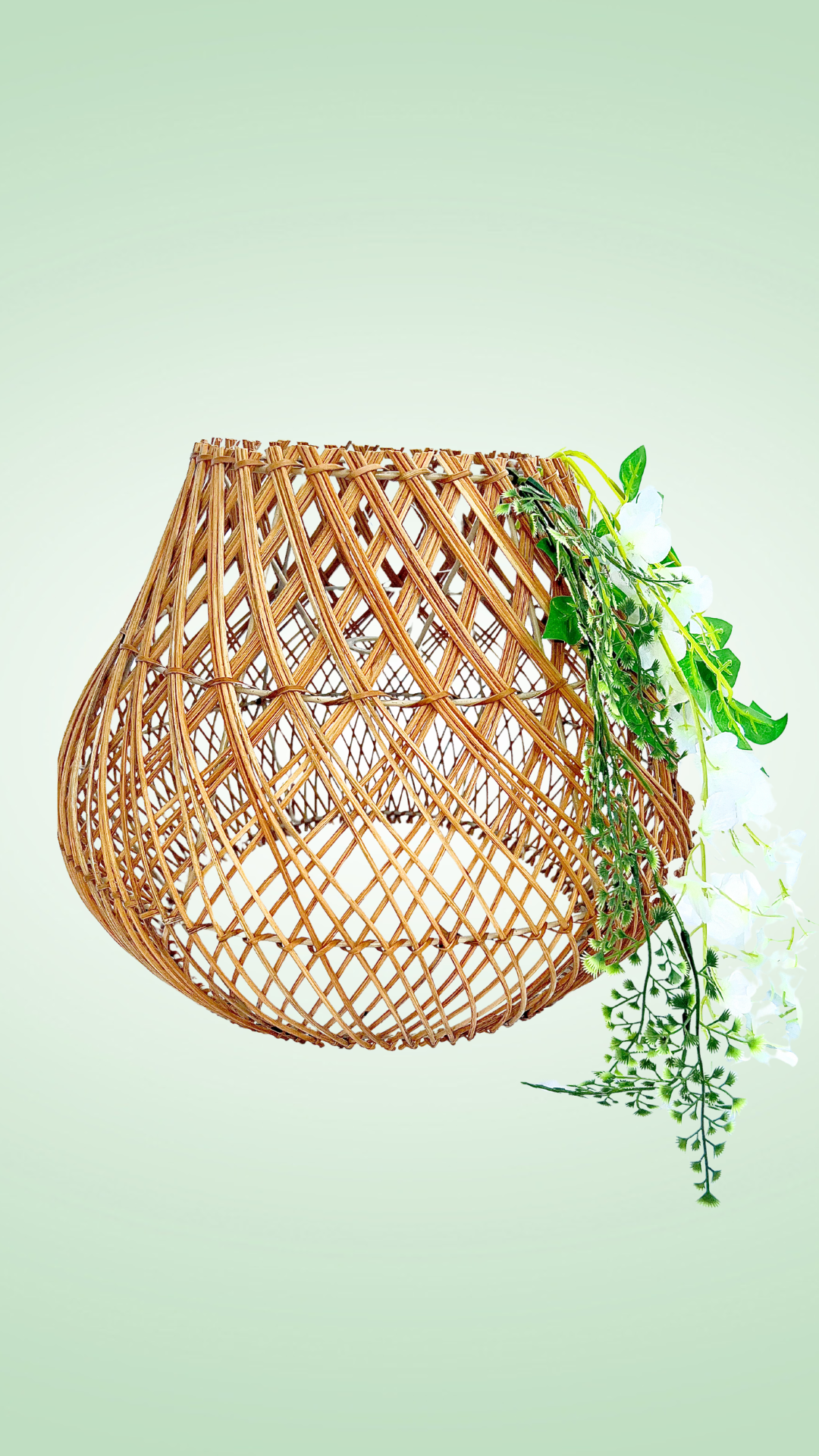 Untitled design 2.PNG