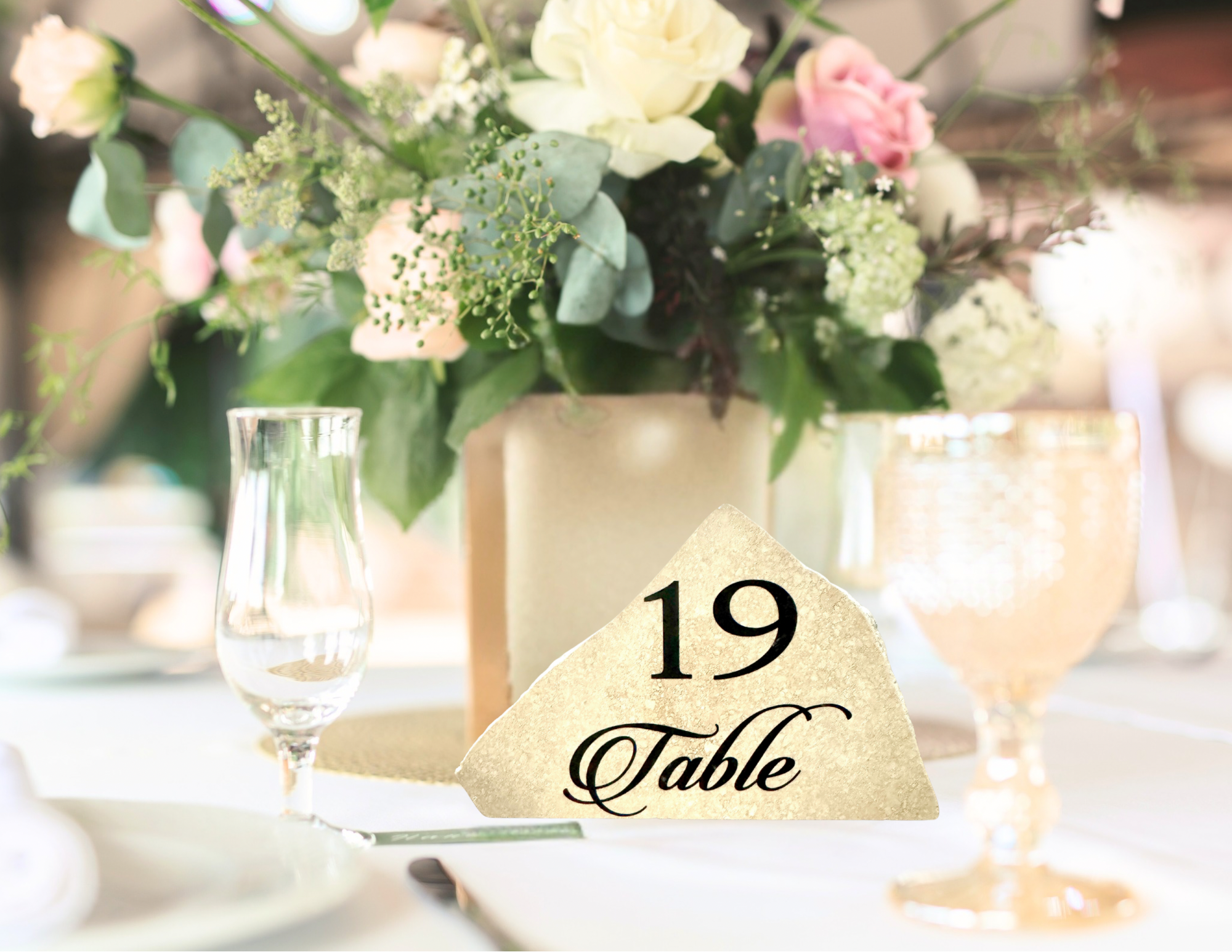 Untitled design 19.PNG