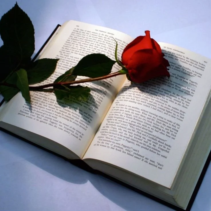 Welcome to the romance relationship blog!