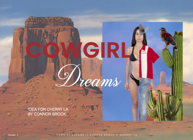 COWGIRL DREAMS - CHERRY TREATMENT.png