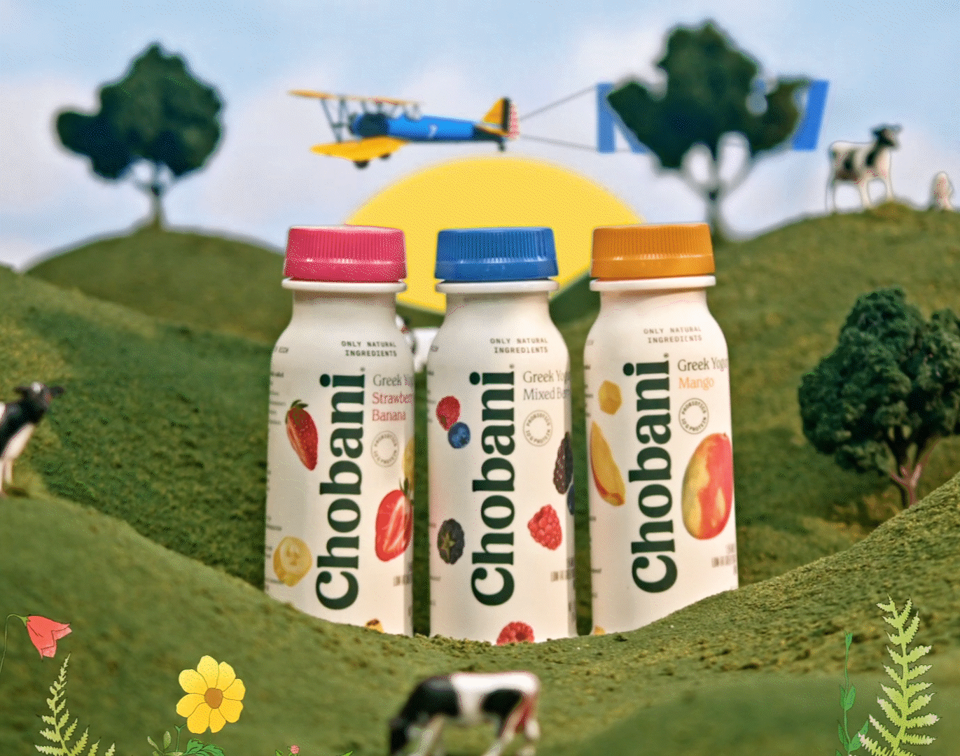 Chobani - From our Cows to your Table2.gif