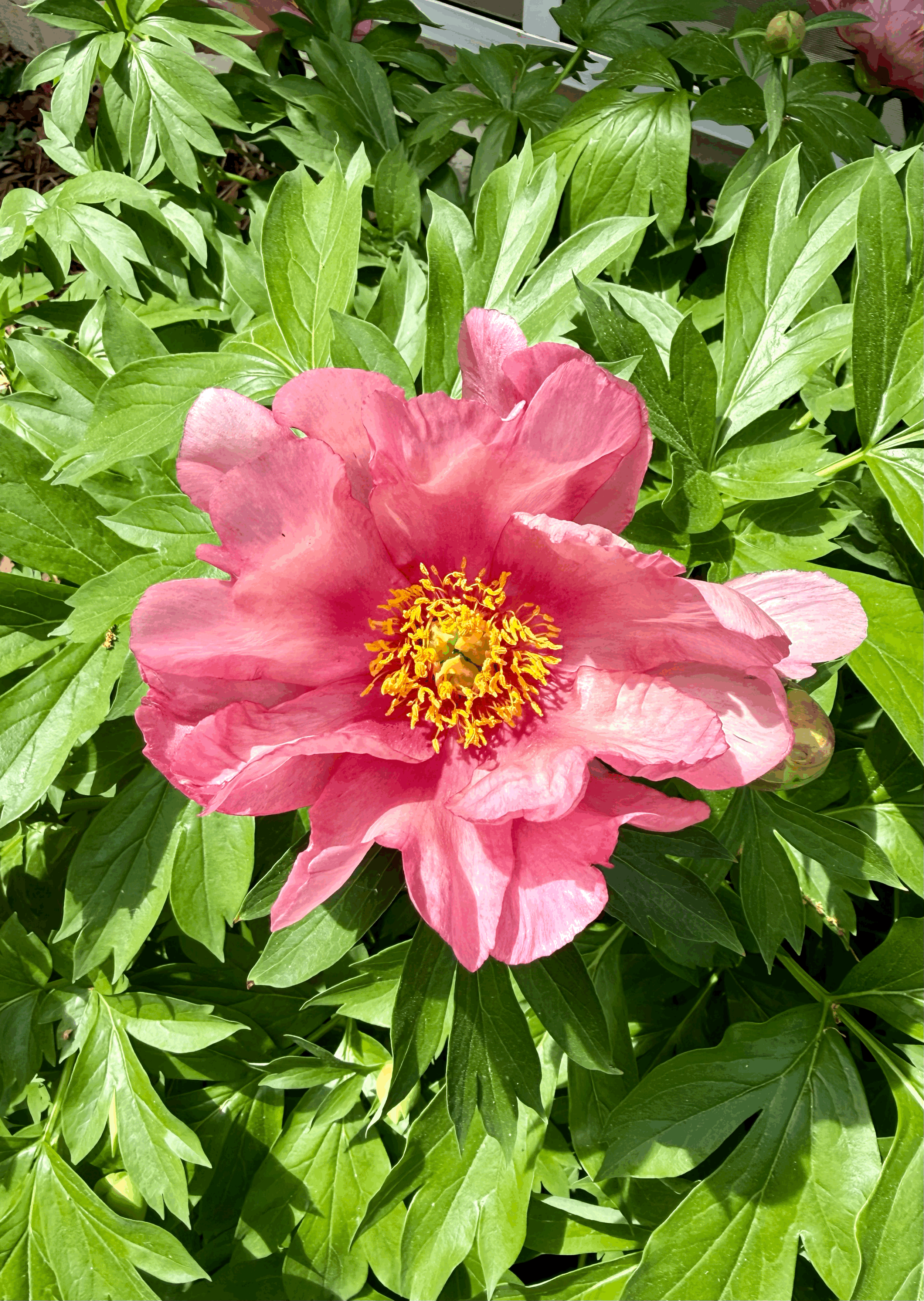 Pilates Tip of the Month: Consistency