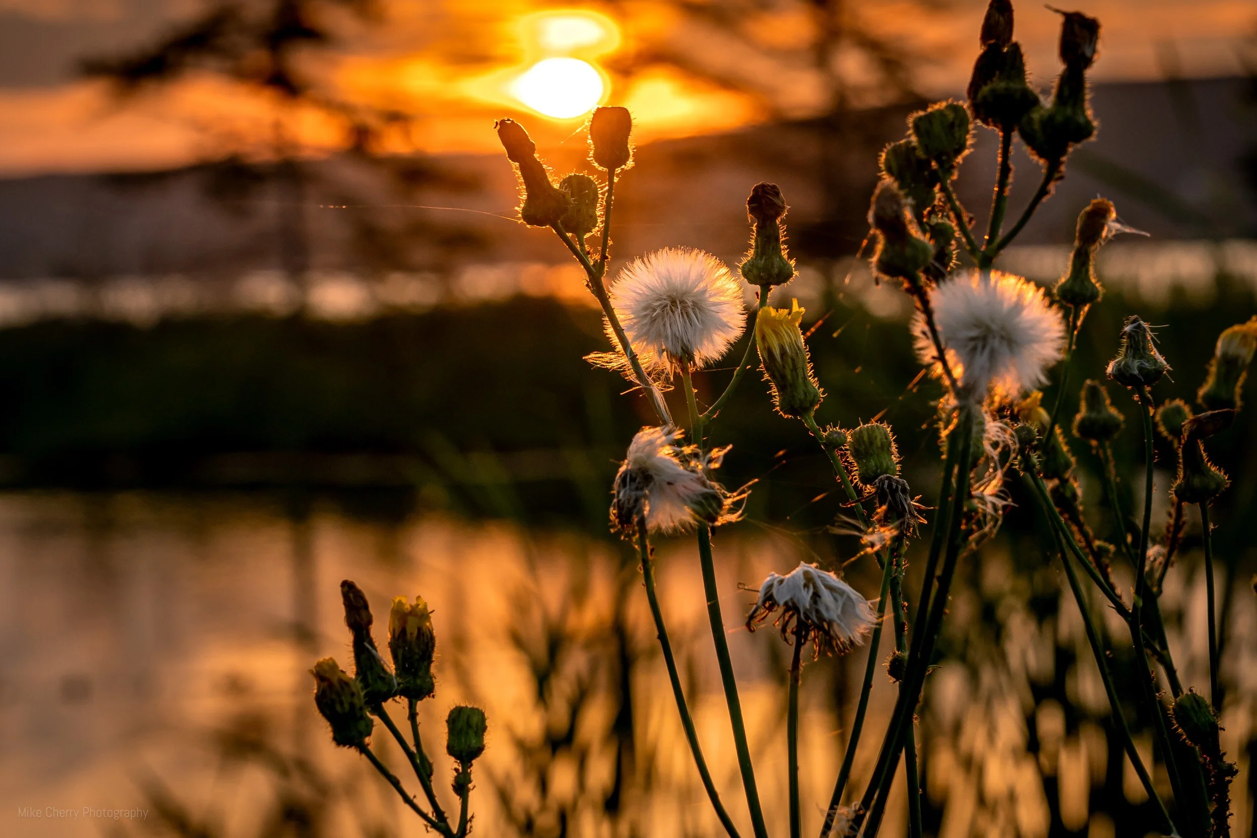  Sunset 