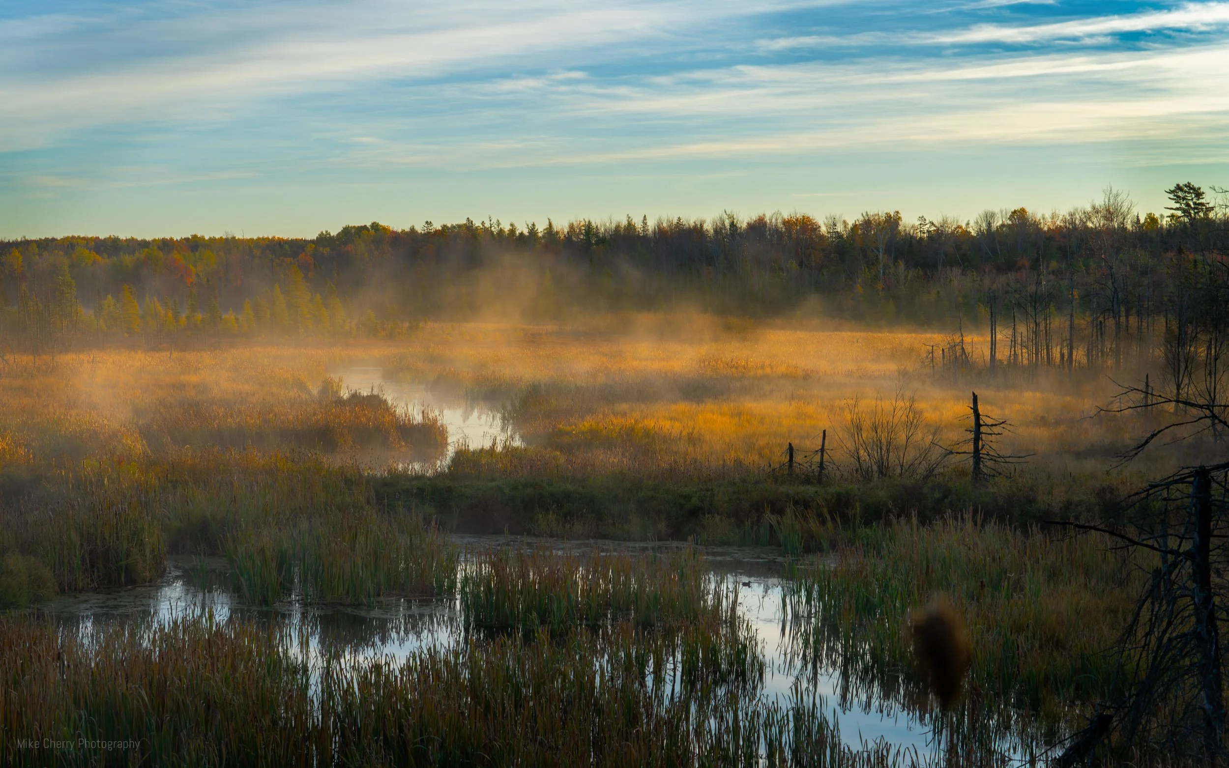  Autumn Mist, Halifax, NS 