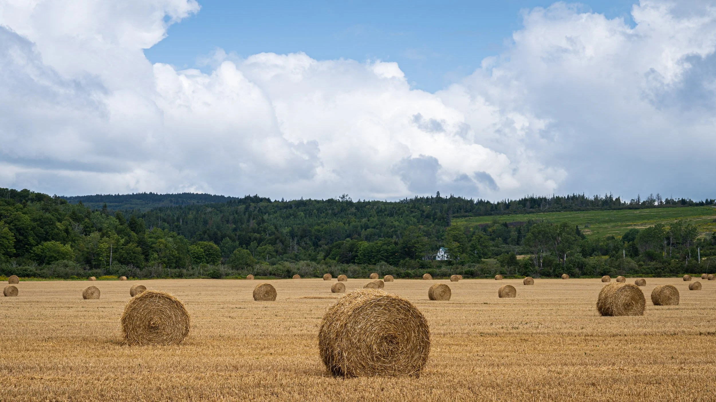  Hay Bales, Advocate Harbour, NS 