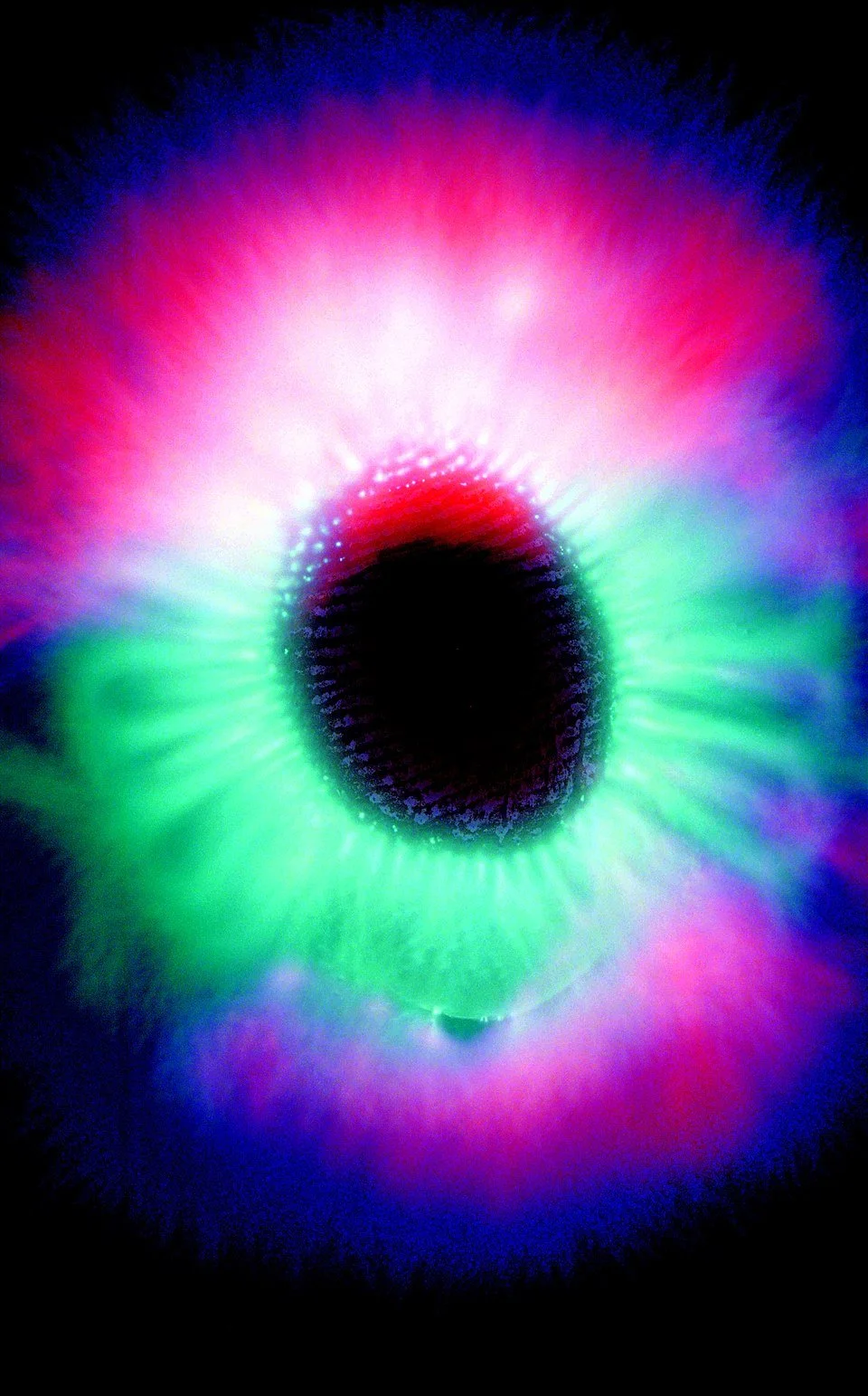Understand Your Energy Field