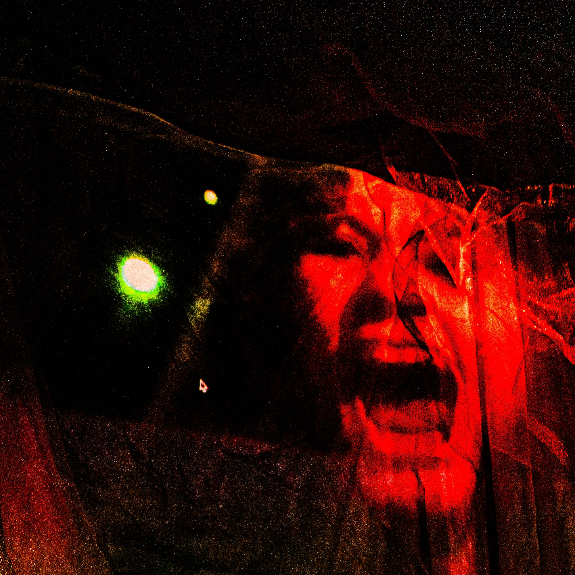 brisco_megan_06.jpg