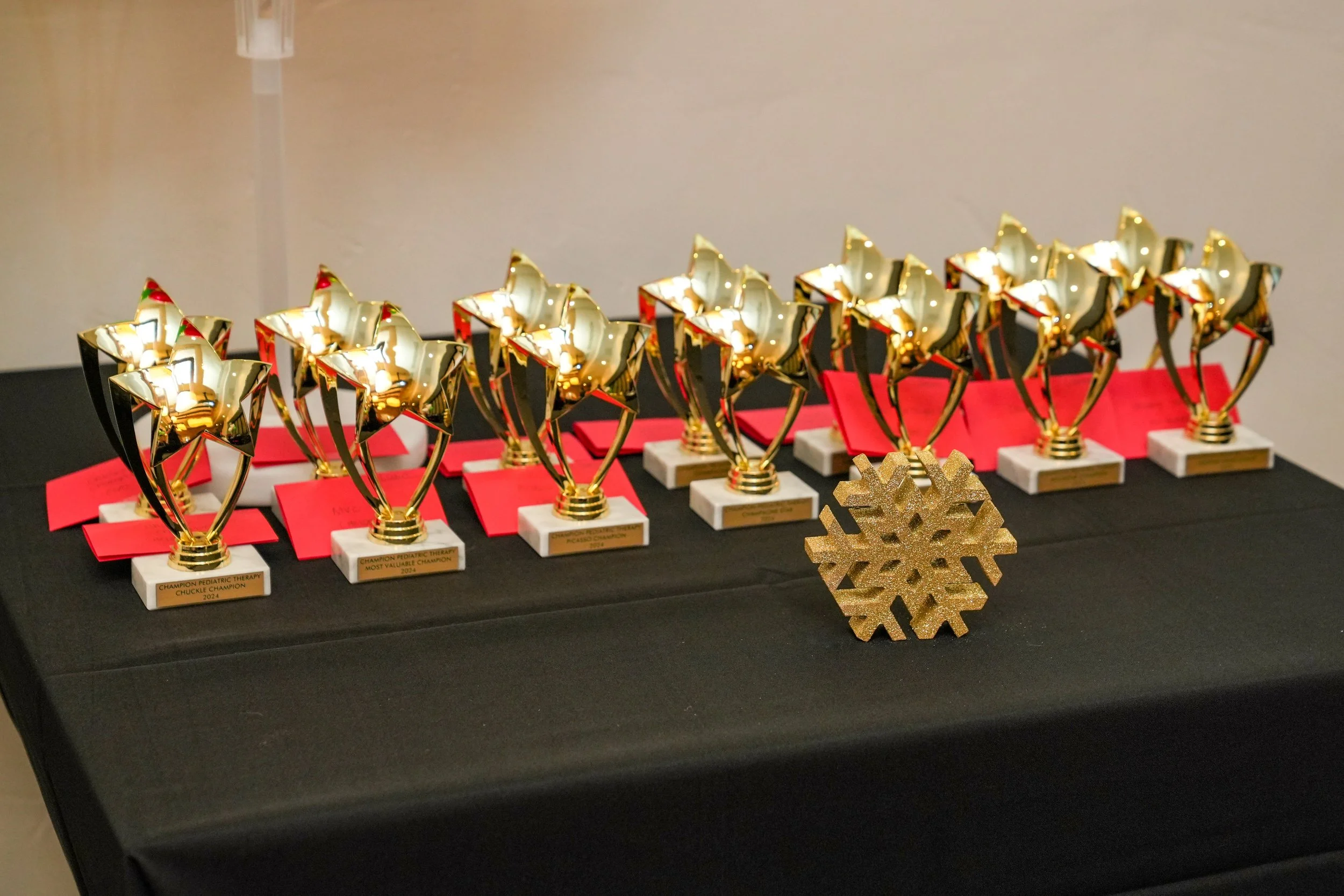 Champion Christmas 2024-3.jpg