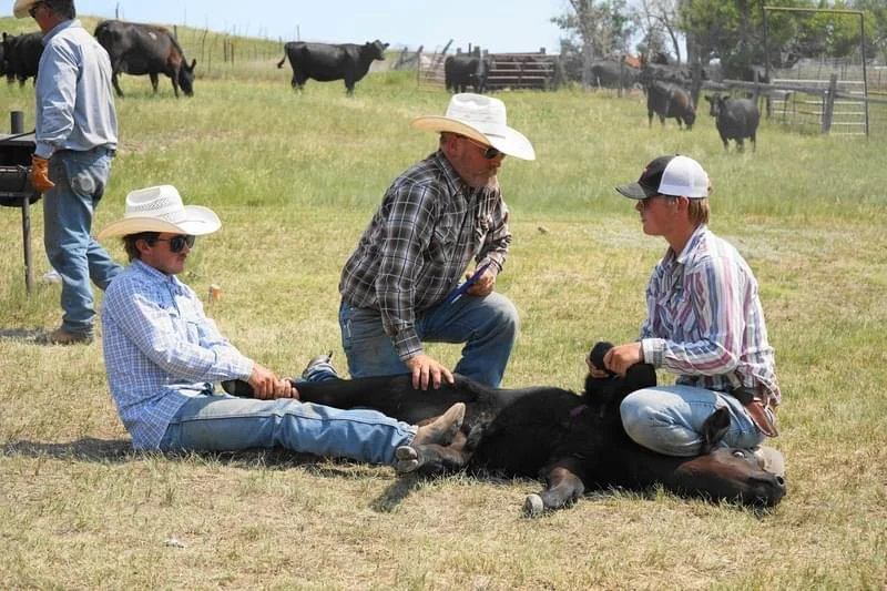 Copy of IMG_0388.JPG