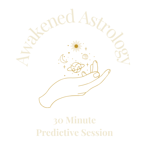 30 Minute Follow-Up Predictive Session