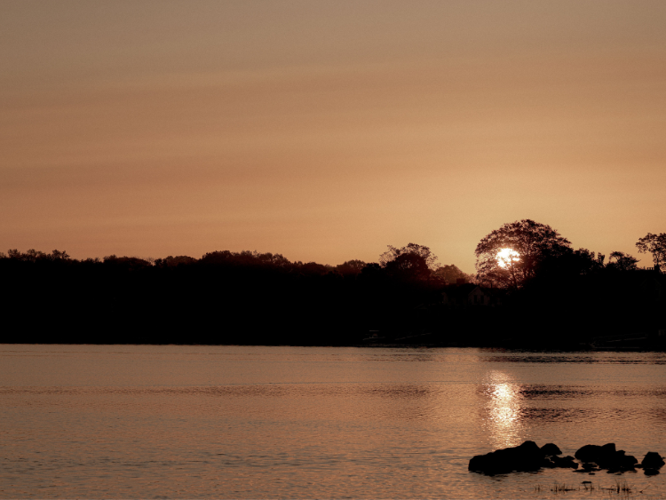 Things to Do in Kissimmee, Florida: A Local Renter's Guide