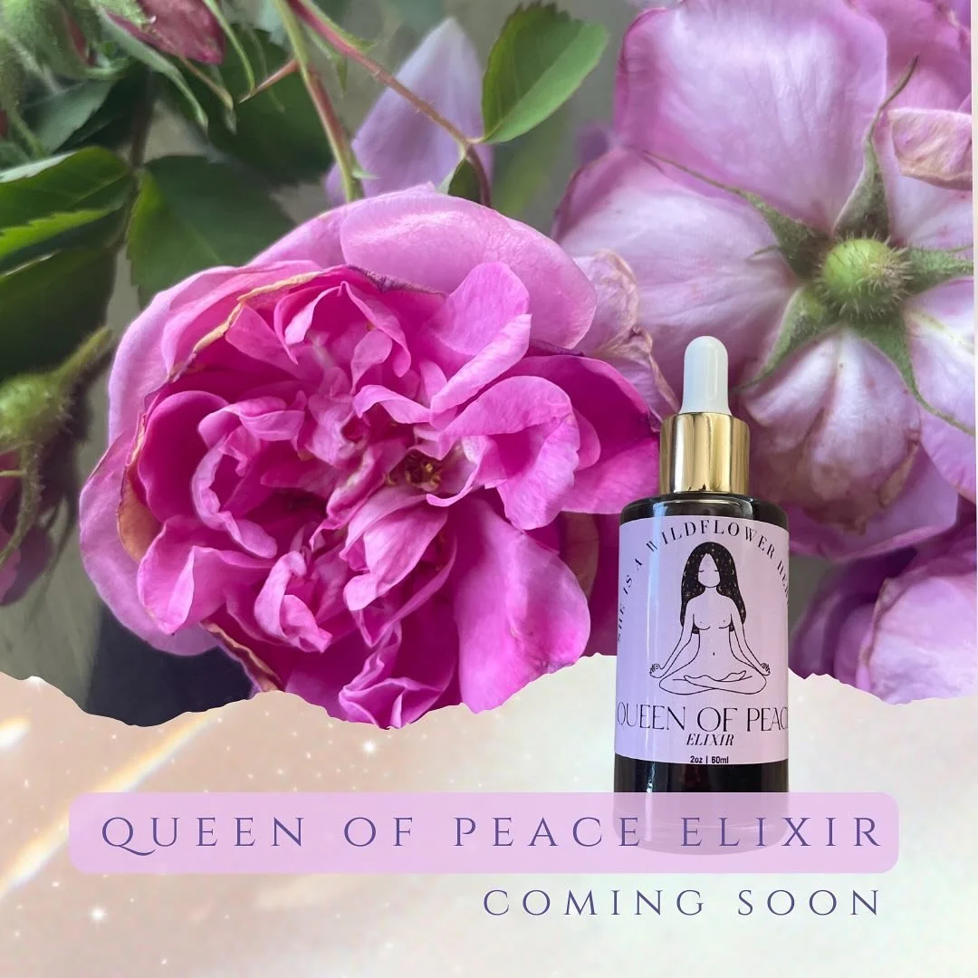 ✨QUEEN OF PEACE ELIXIR✨ 

Peace is our birthright. 

There is nothing we need to do to deserve peace. Peace loves us infinitely &amp; waits for us to Remember our Divine inherent worthiness of Her. 

Peace is our offering to the world as we heal from