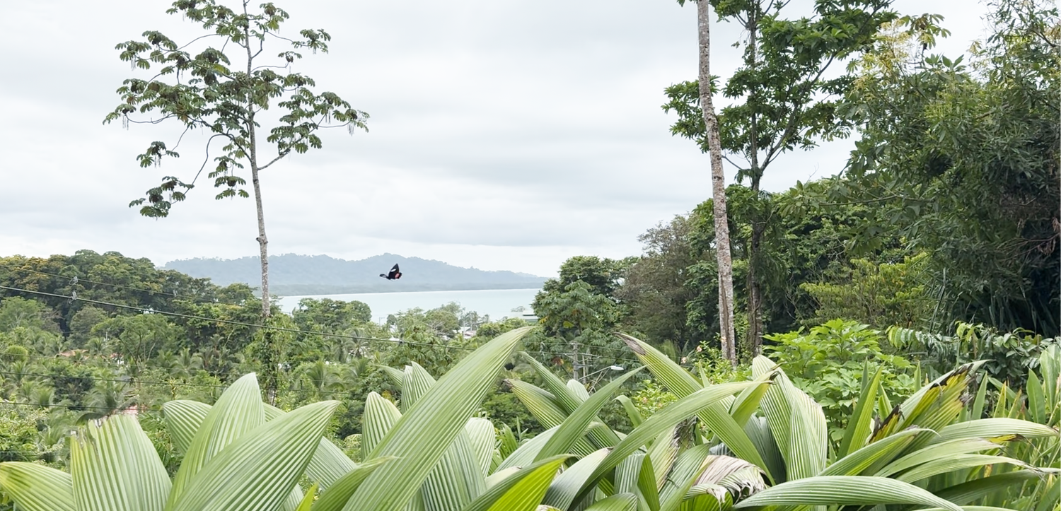 Costa Rica Retreat