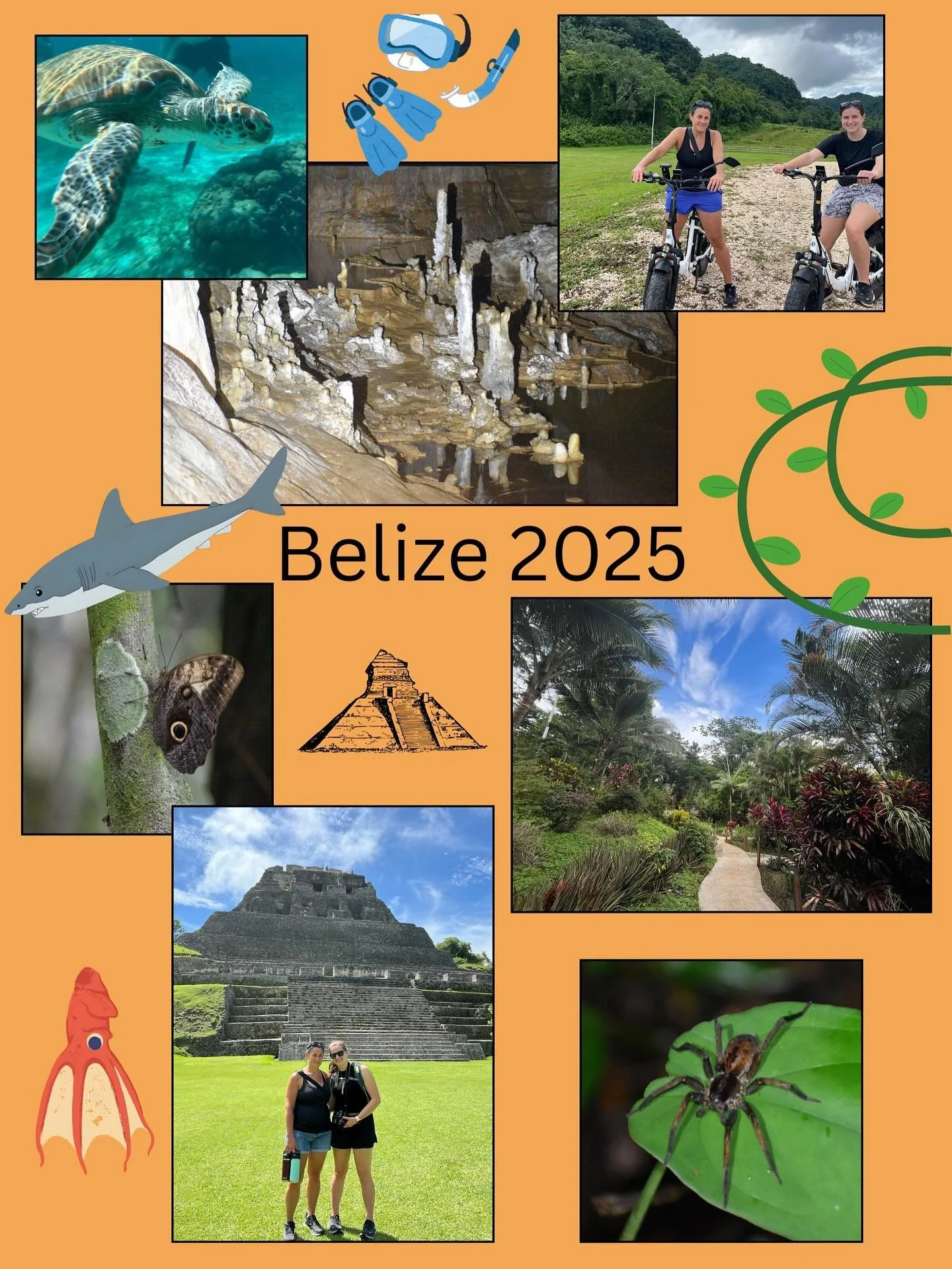 Just had my clients return from a wonderful mother&ndash;daughter getaway to Belize! 🌴 They were looking for adventure, time outdoors, and plenty of snorkeling &mdash; but most of all, the chance to reconnect and make lasting memories together.

Her