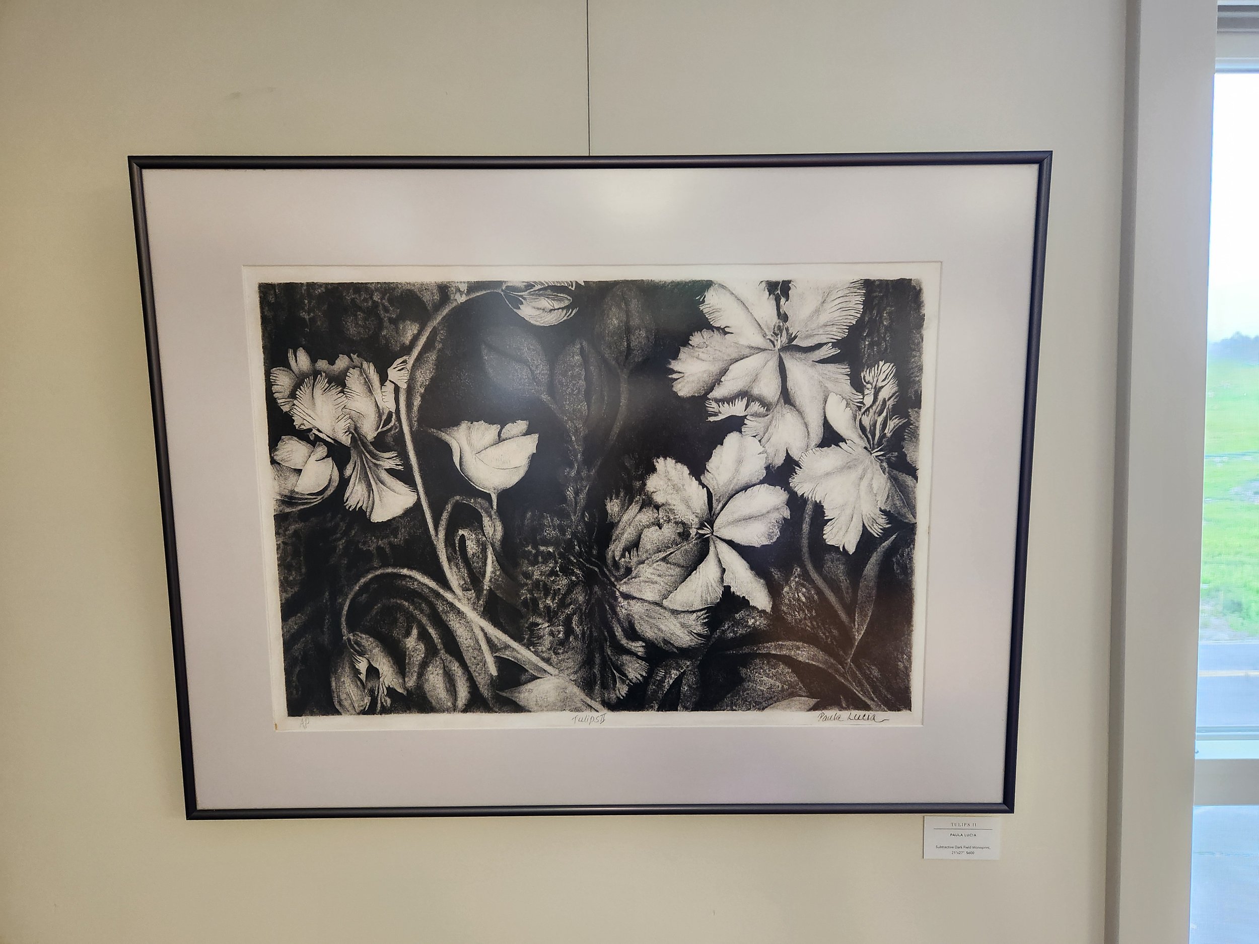 Paula Lucia - Tulips II - $600 