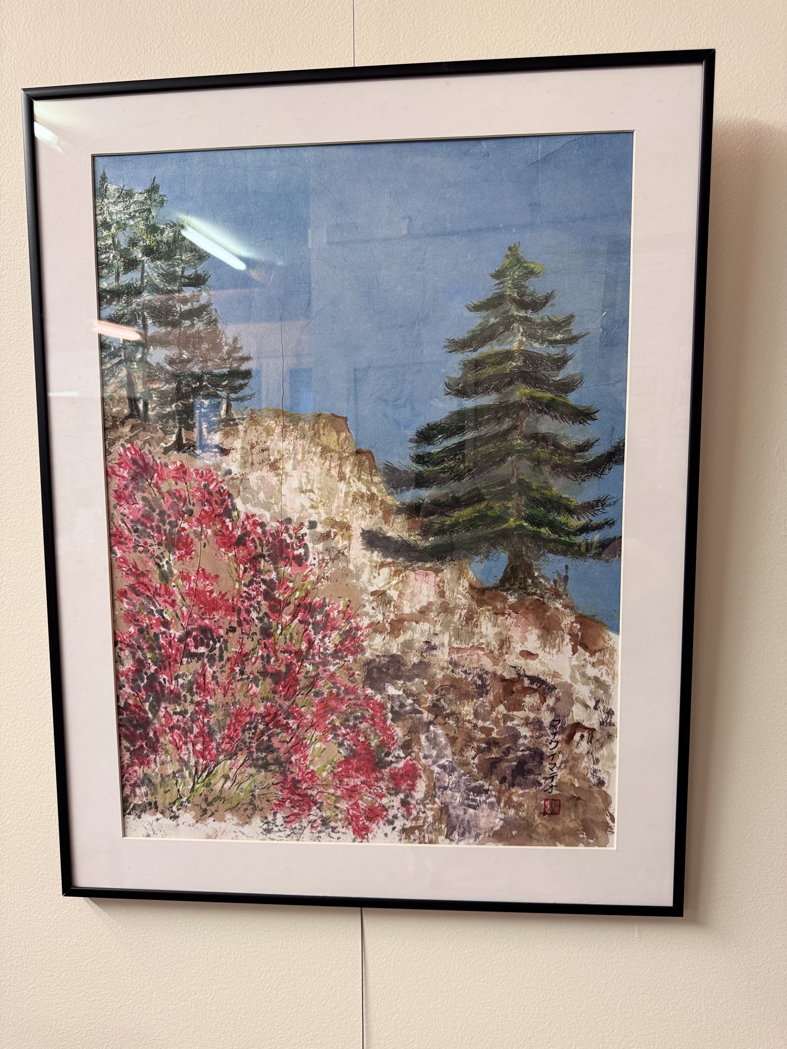 Michael DeMatteo - Acadia Hike - $800