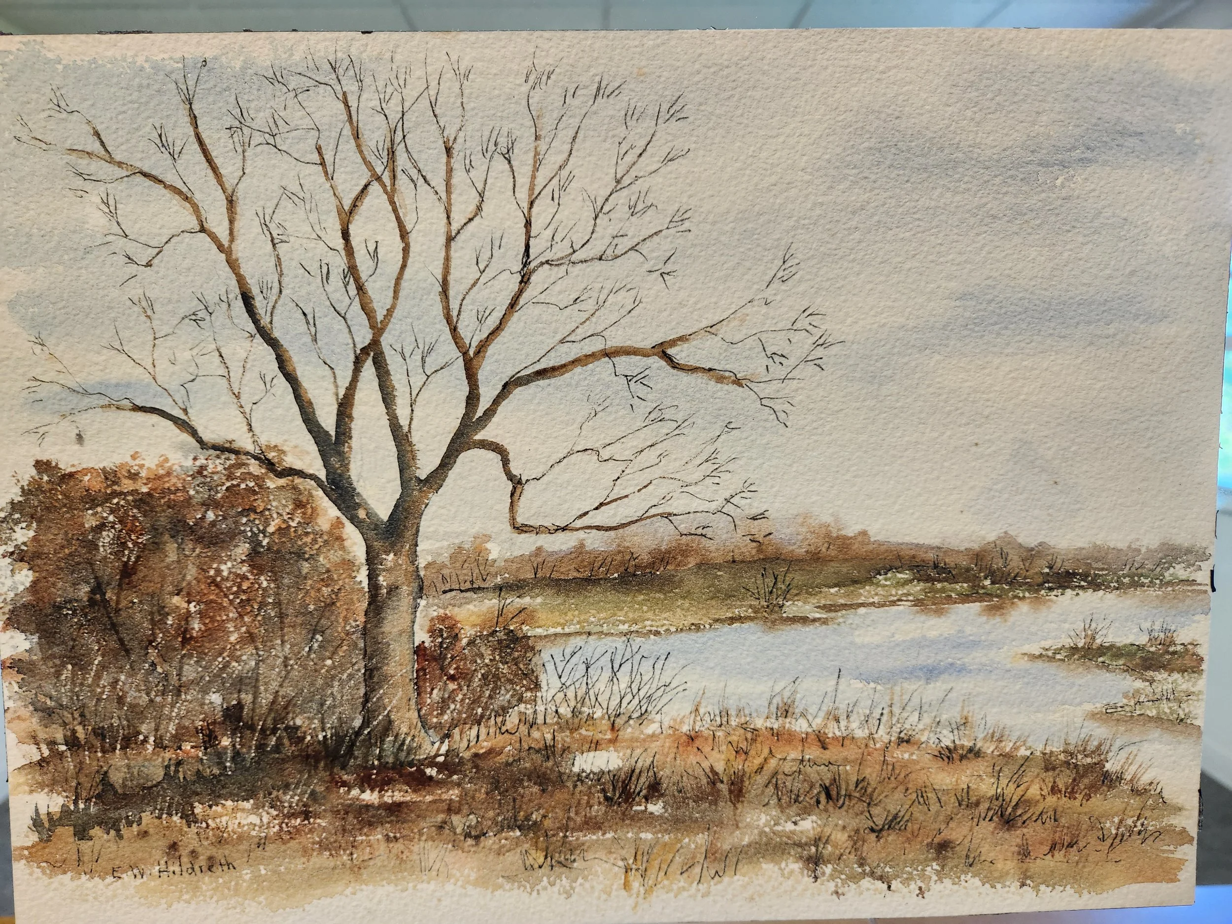 Evelyn Hildreth - Winter Grass - $90