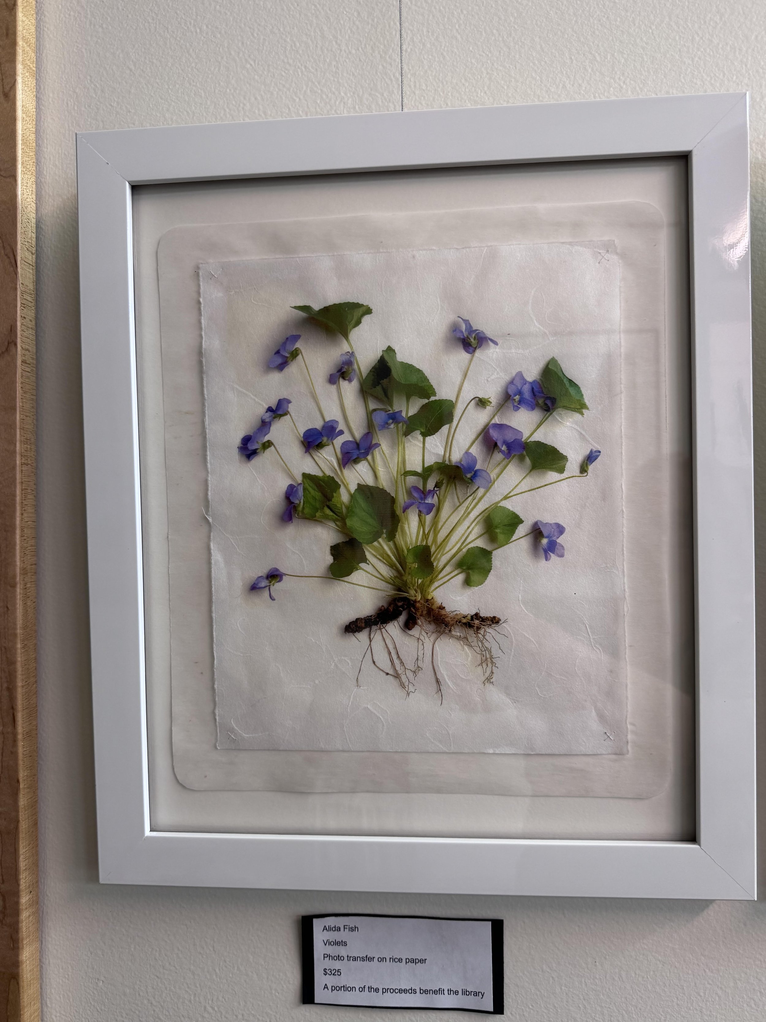 Alida Fish - Violets - $325