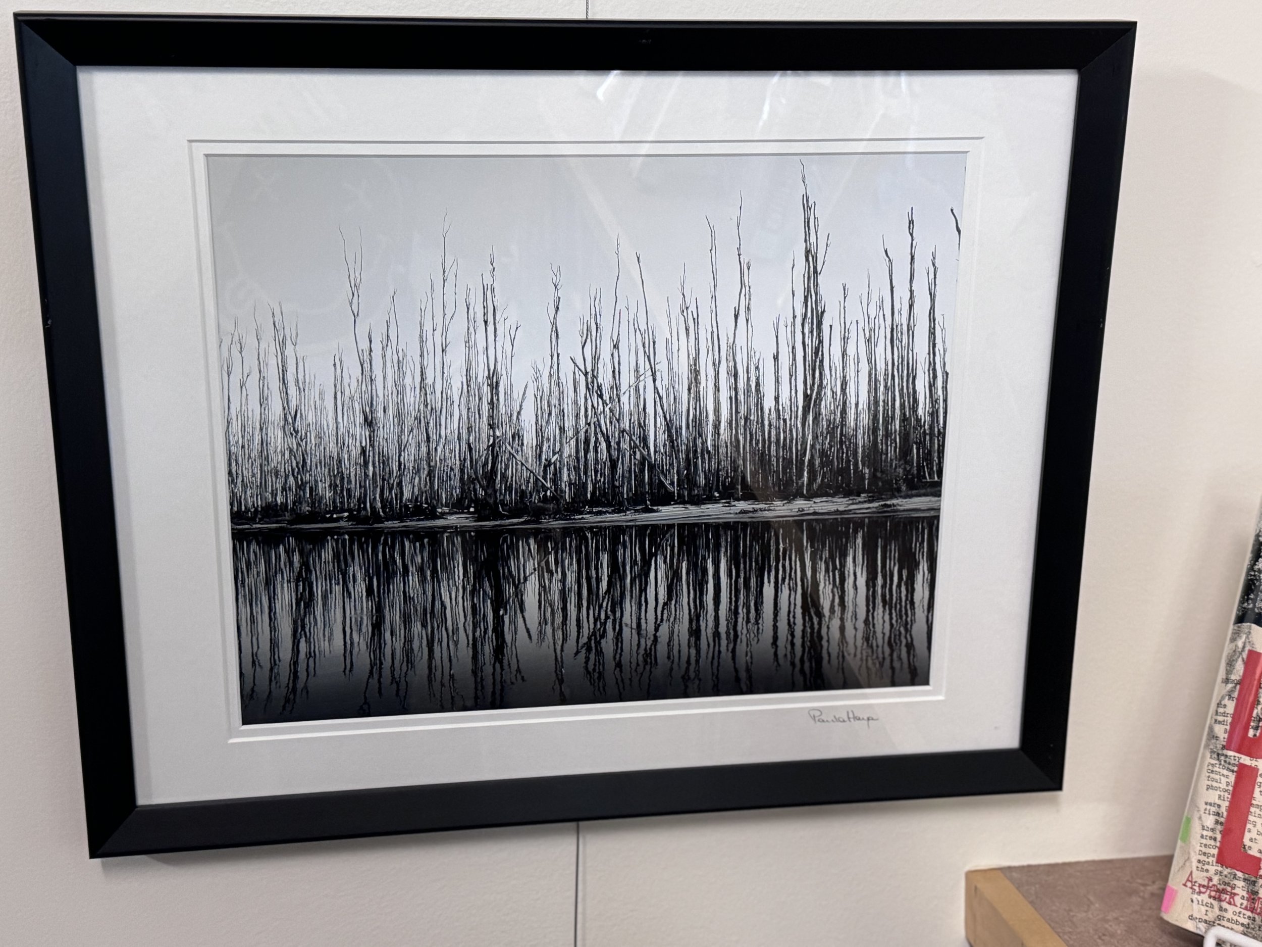 Paula Hays - Okeechobee Waterway - $100