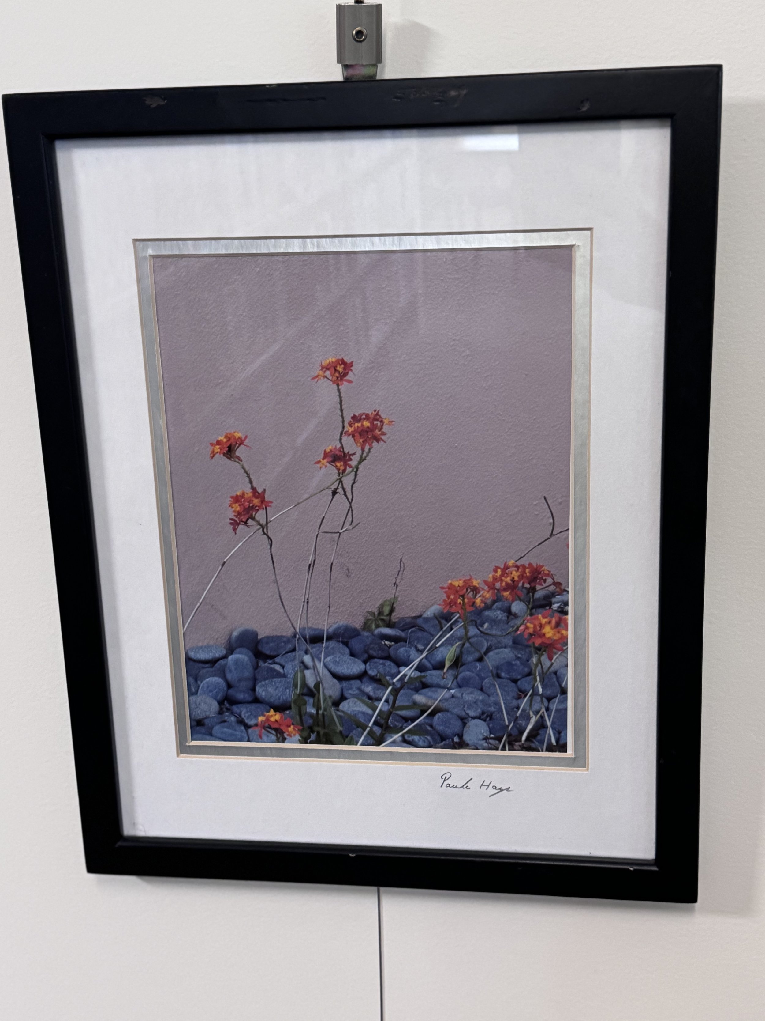 Paula Hays- Flowers