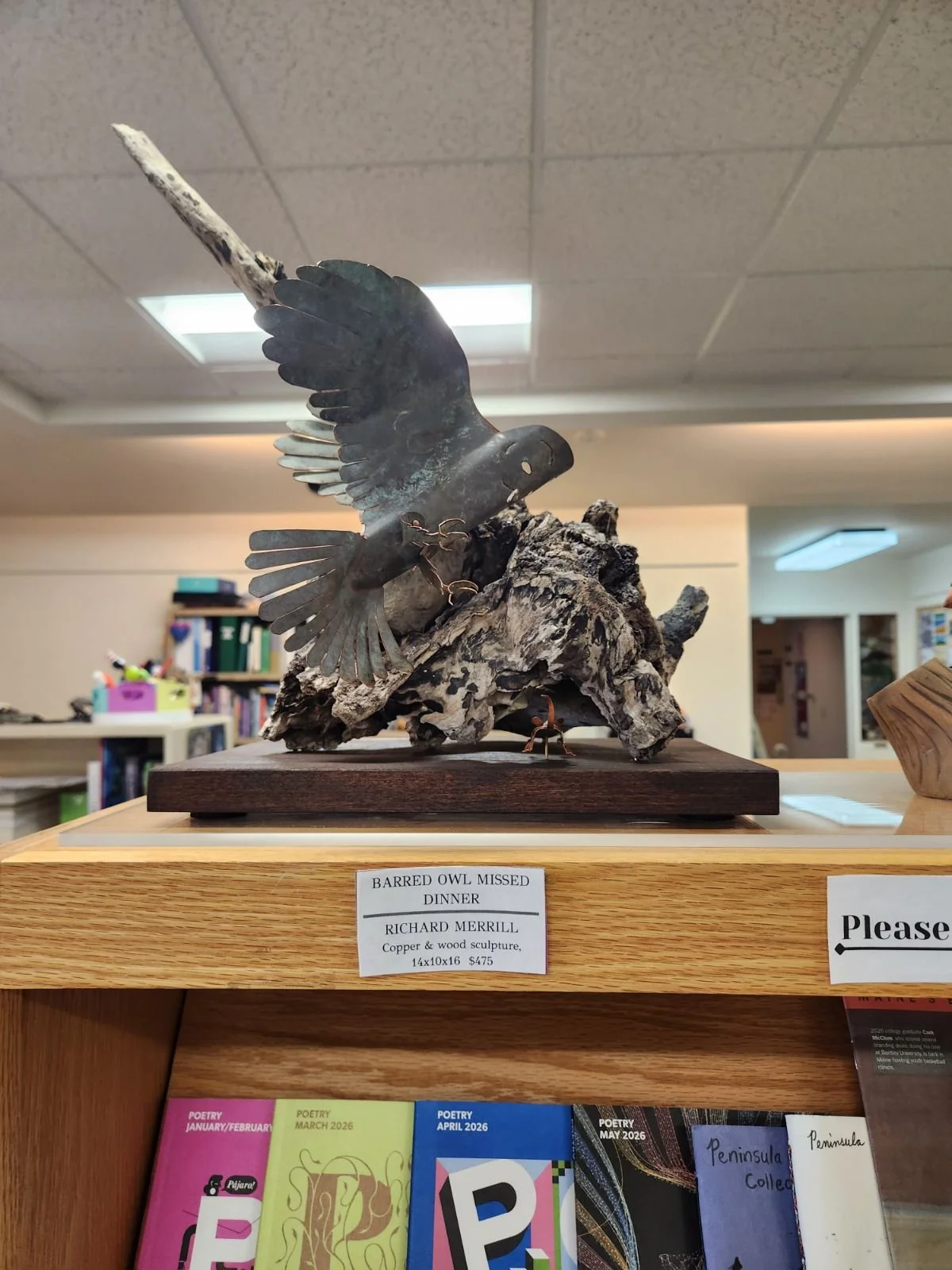 Richard Merrill - Barred Owl Missed Dinner - $475
