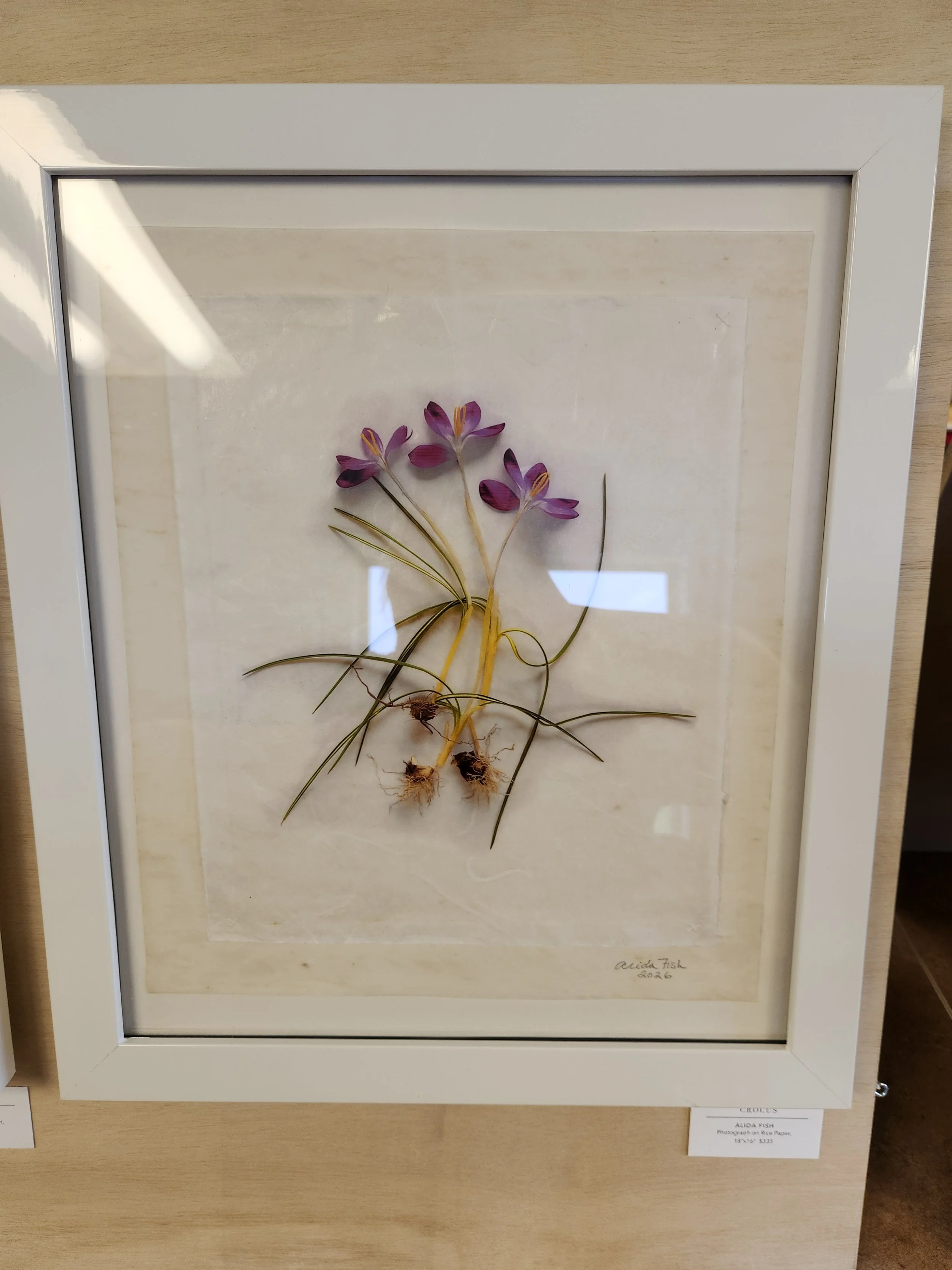Alida Fish - Crocus - $335 