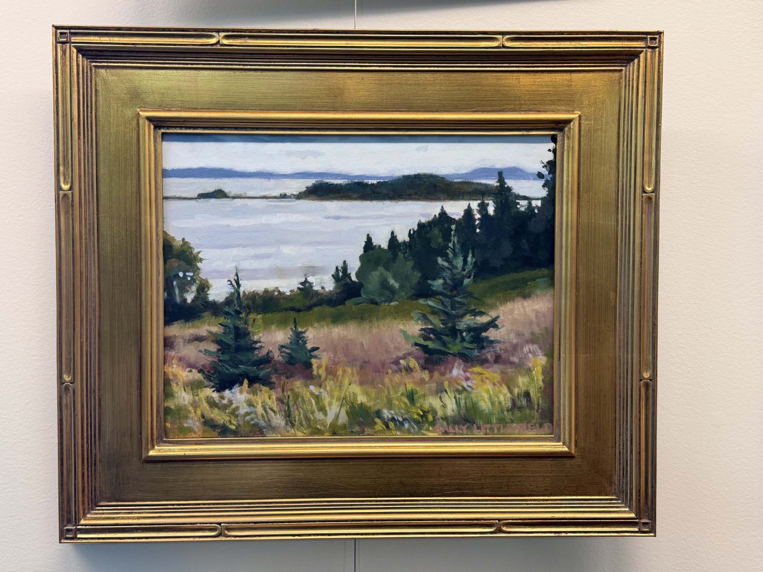 Sally Littlefield - Overcast, Pond Island from Ames Cove Rd - $425
