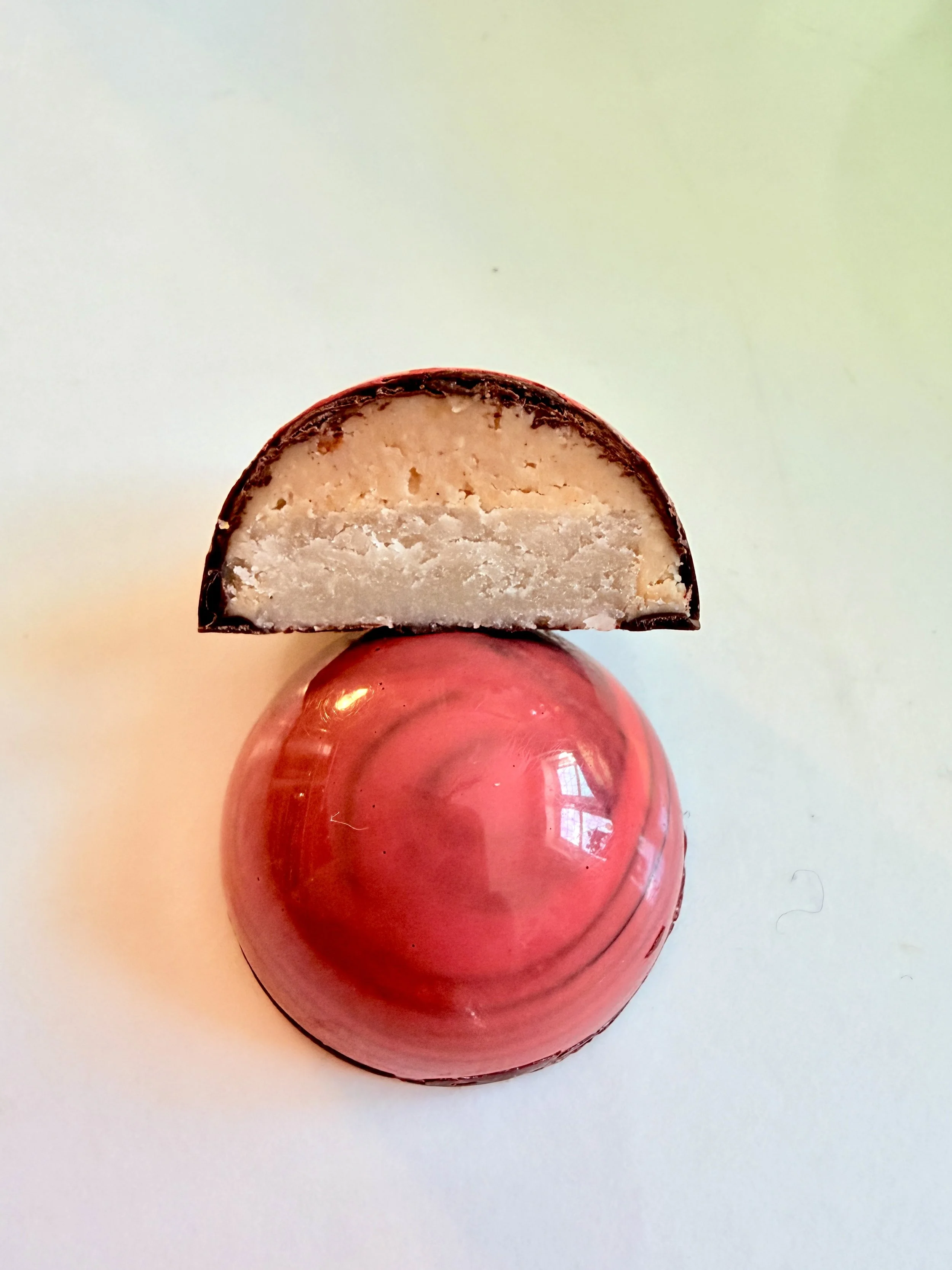 Faisan almendrado with inside view.JPG