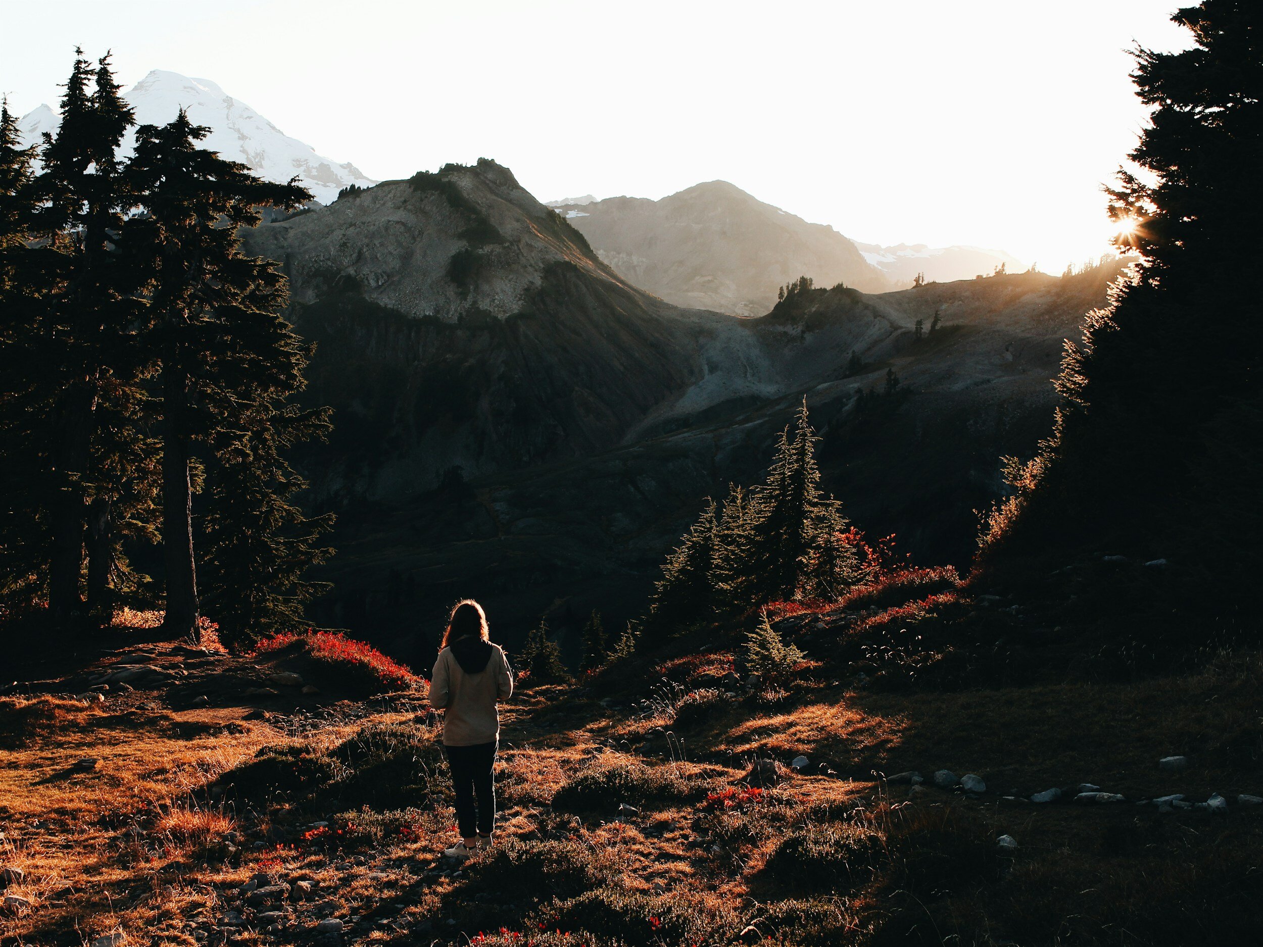 a woman walking thefrough nature and practicing self-care during her luteal phase bore the arrival of her period