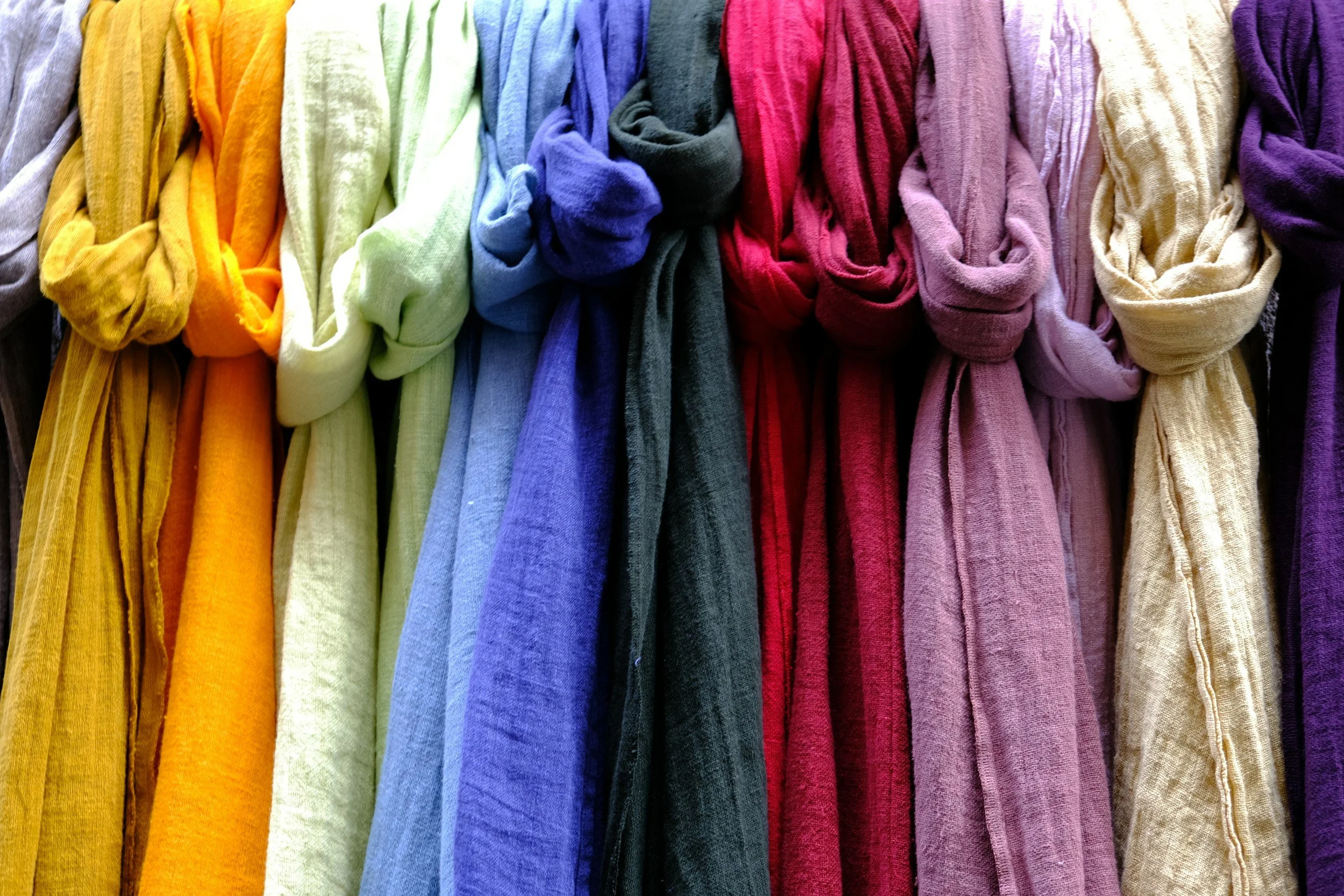 Mushroom Dye Workshop