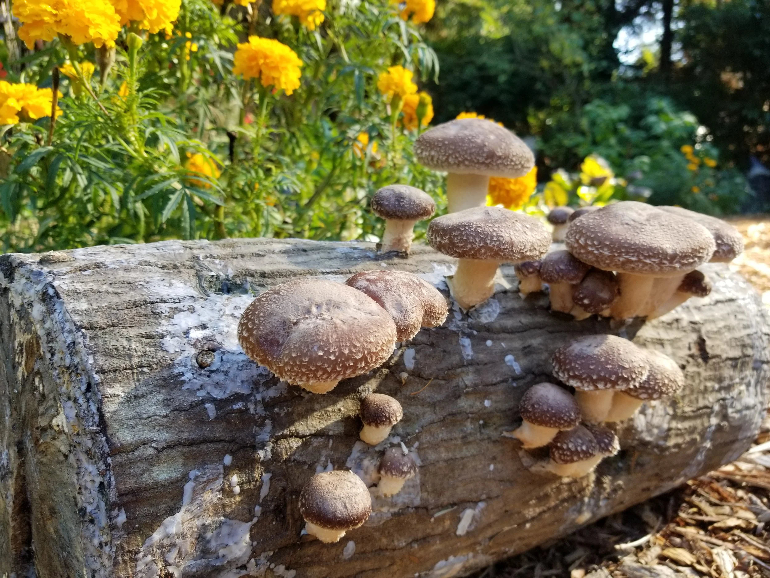 20201105_134243 (1).jpg