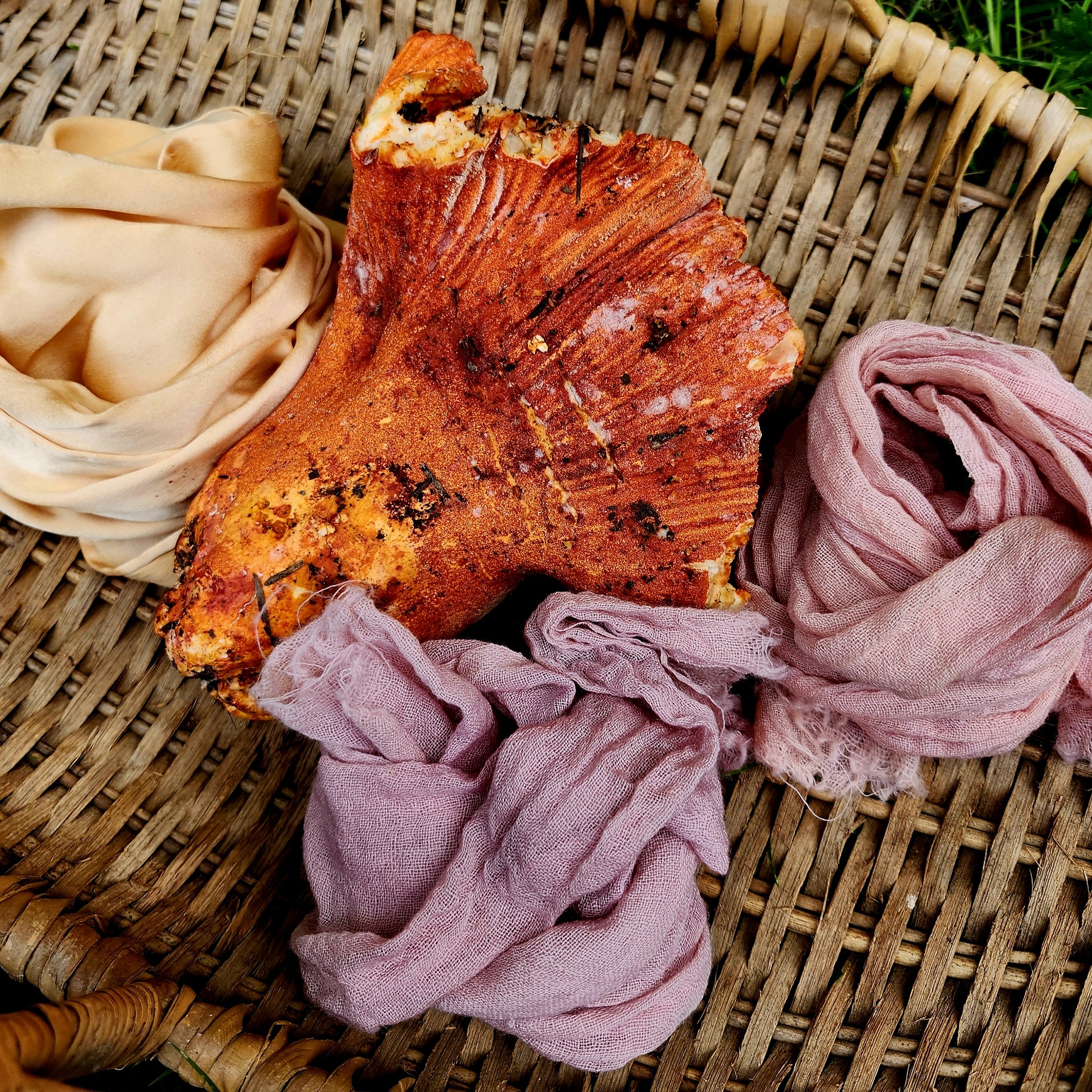 Mushroom Dye Workshop