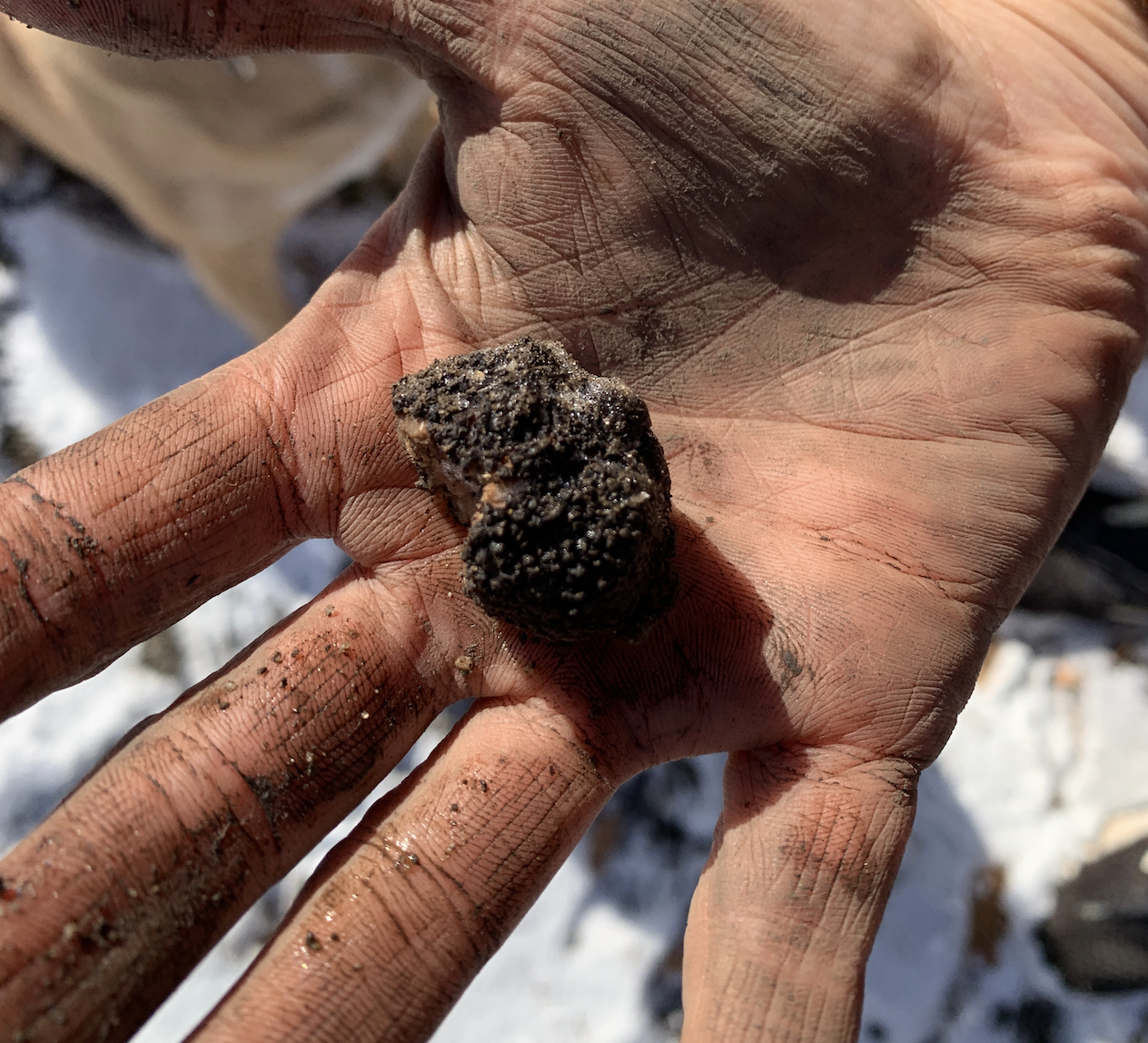 Our Truffles