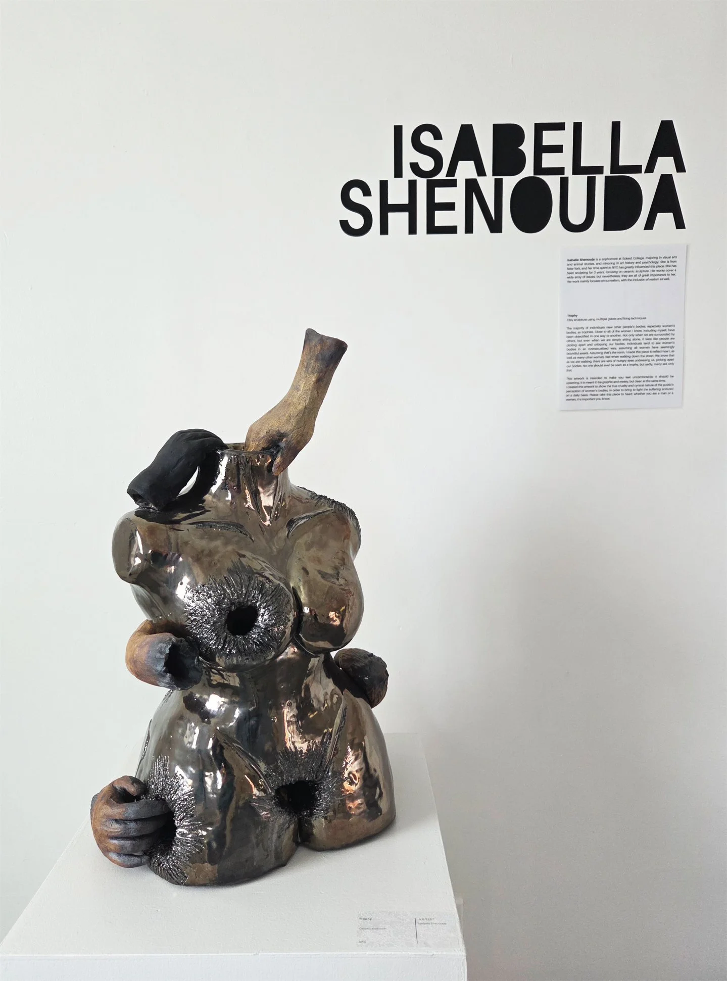 SE20264.jpg